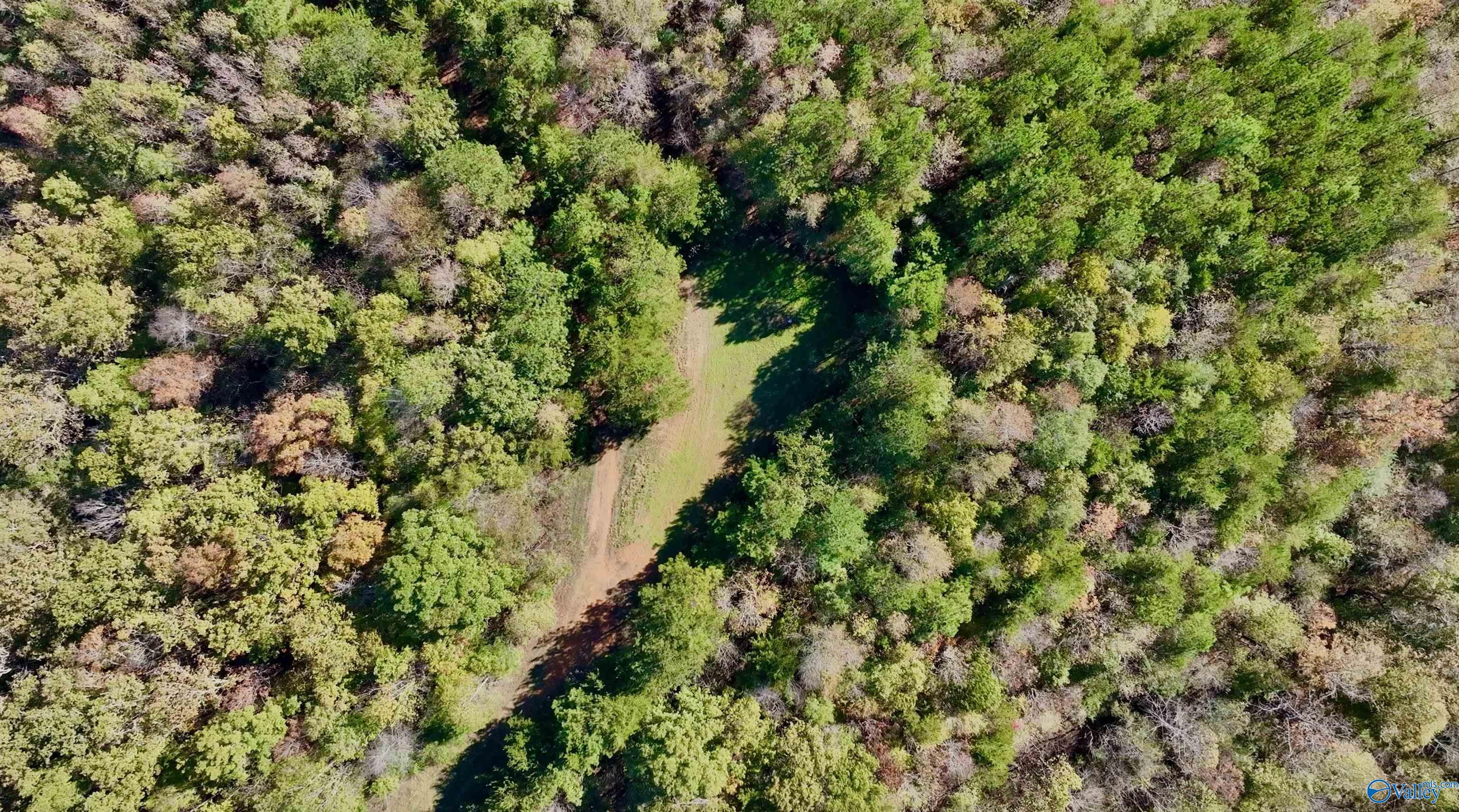 164 Acres Old Baltimore Road, Cordova, Alabama image 34