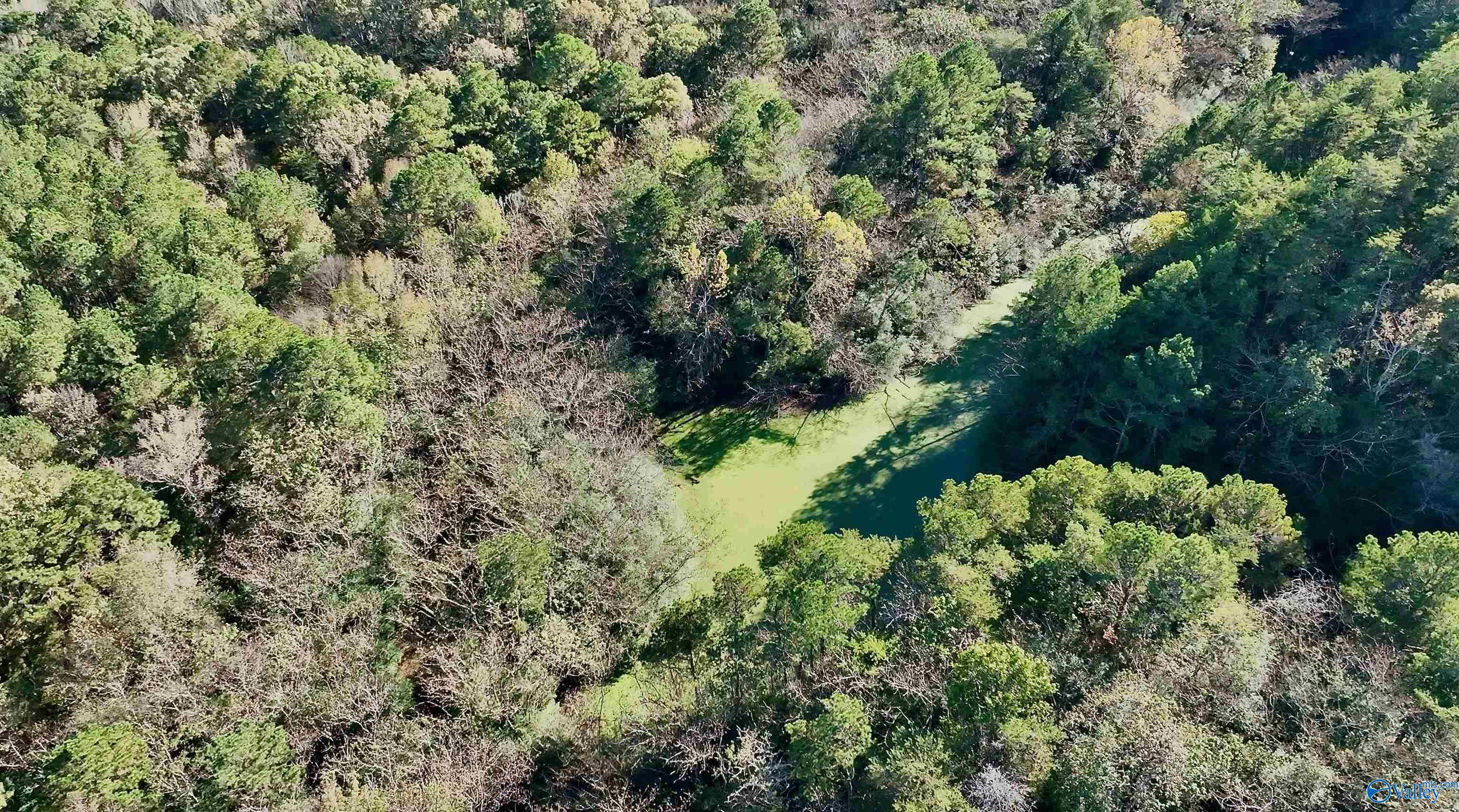 164 Acres Old Baltimore Road, Cordova, Alabama image 30