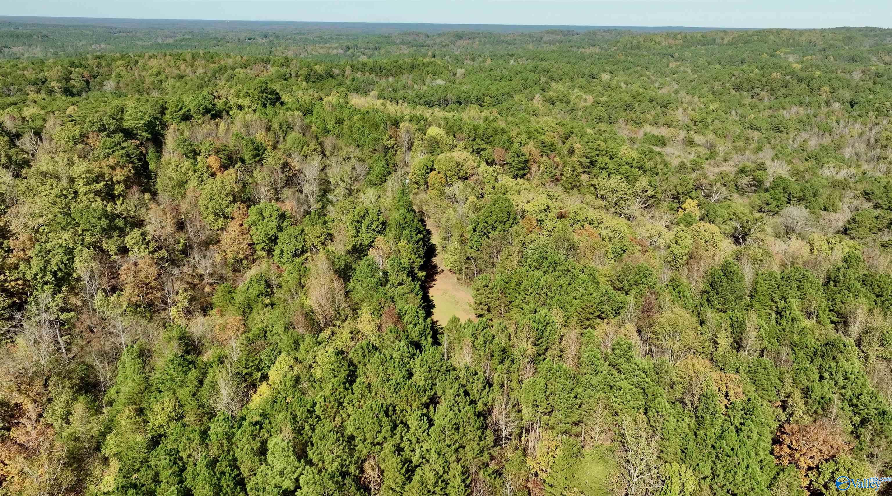 164 Acres Old Baltimore Road, Cordova, Alabama image 35