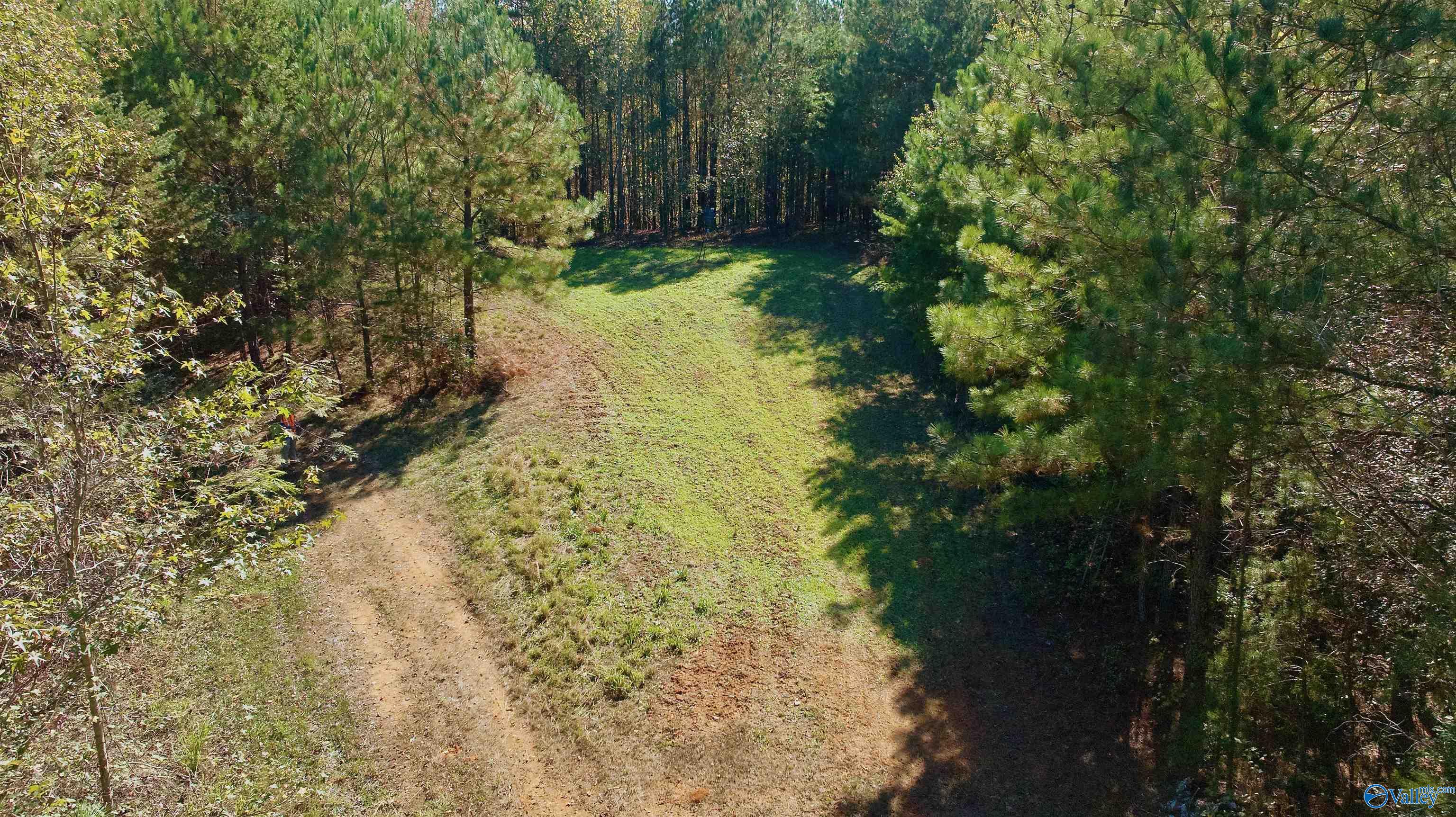 164 Acres Old Baltimore Road, Cordova, Alabama image 20