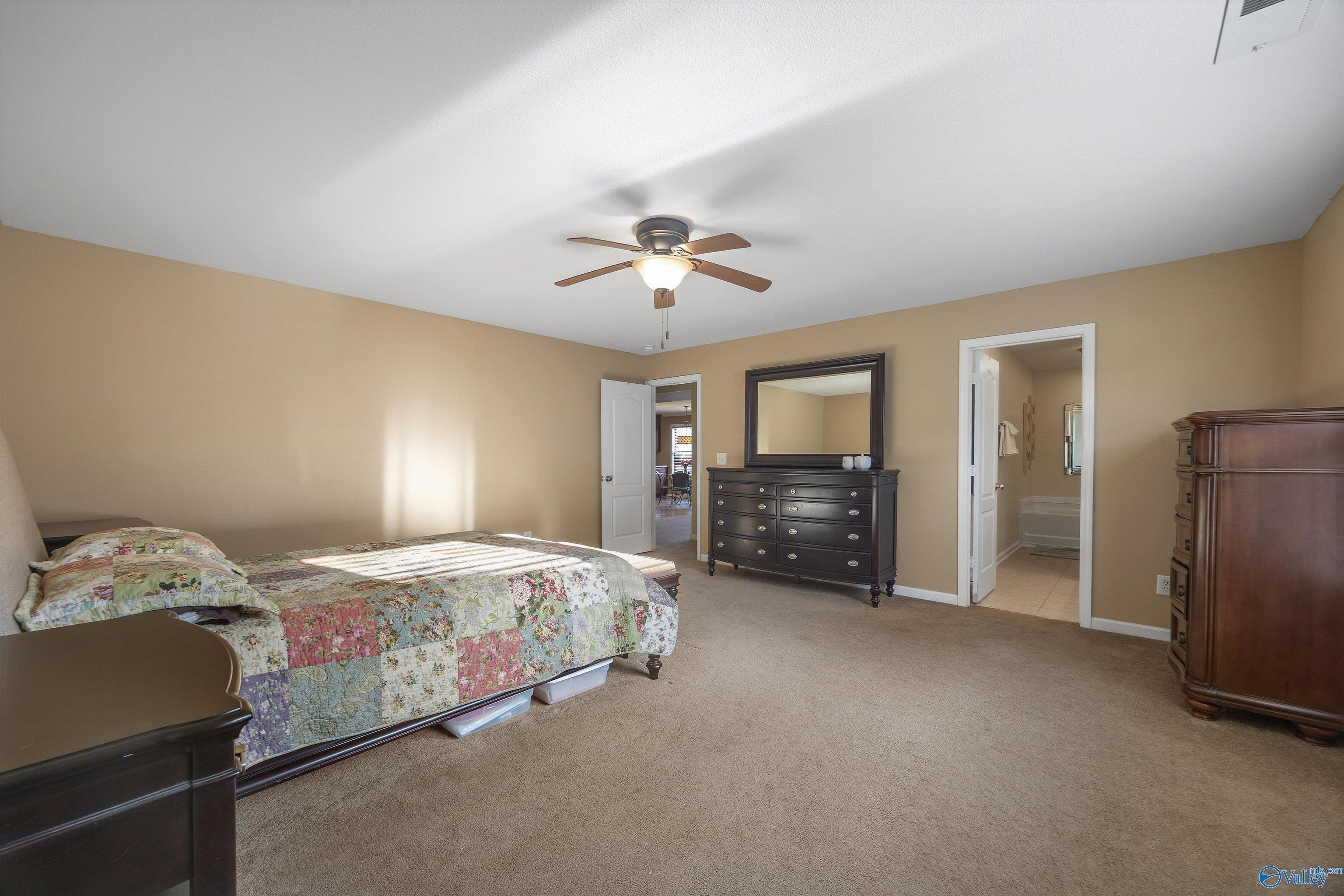 244 Harold Murphy Drive, Madison, Alabama image 23