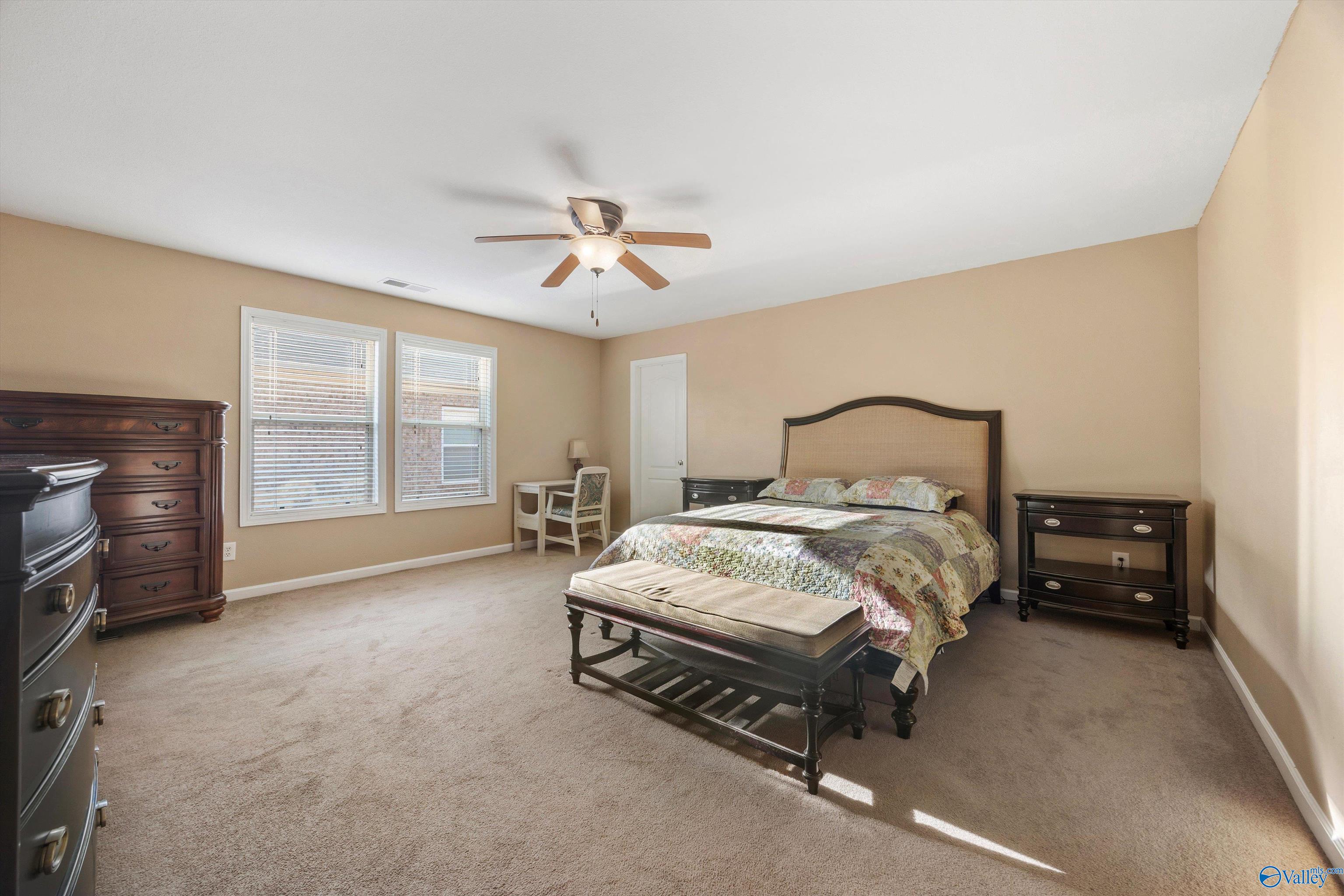 244 Harold Murphy Drive, Madison, Alabama image 21