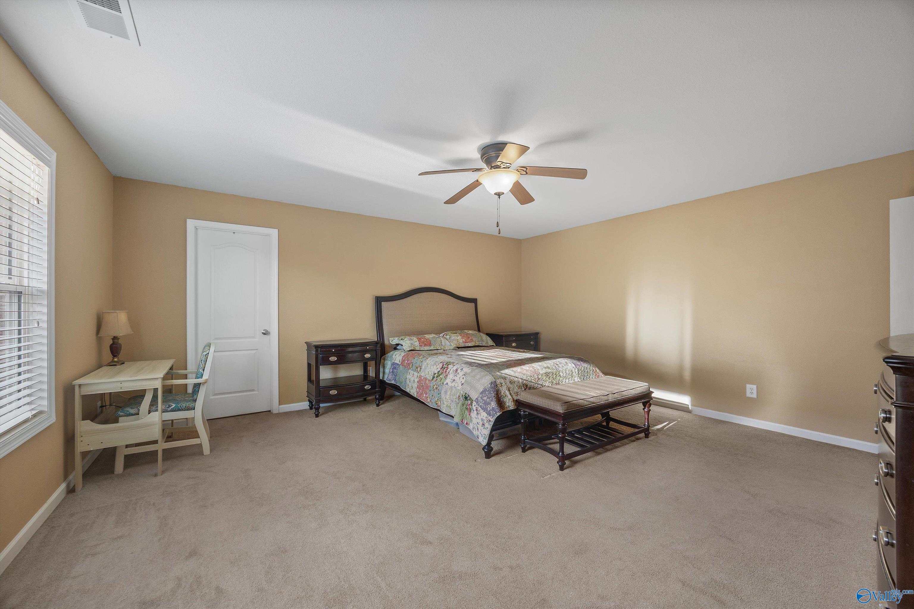 244 Harold Murphy Drive, Madison, Alabama image 24