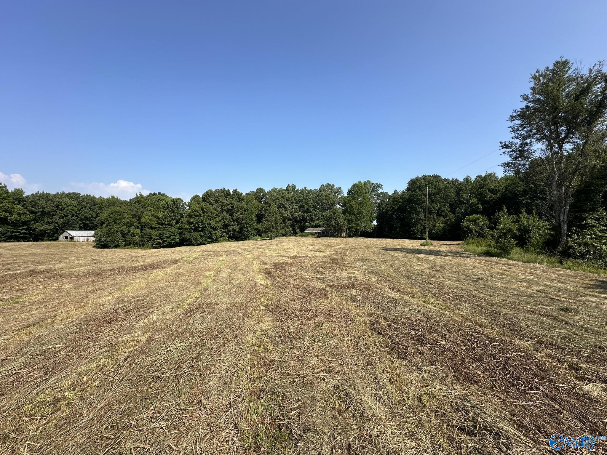 70 Acres County Road 170, Hillsboro, Alabama image 6