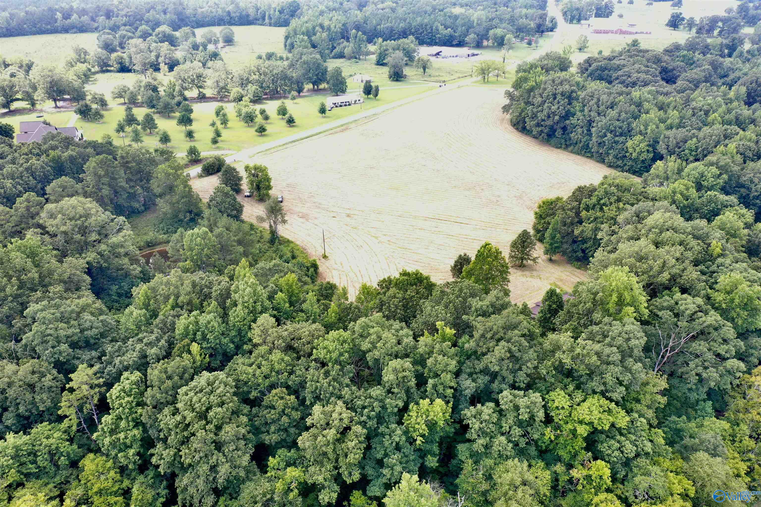 70 Acres County Road 170, Hillsboro, Alabama image 2