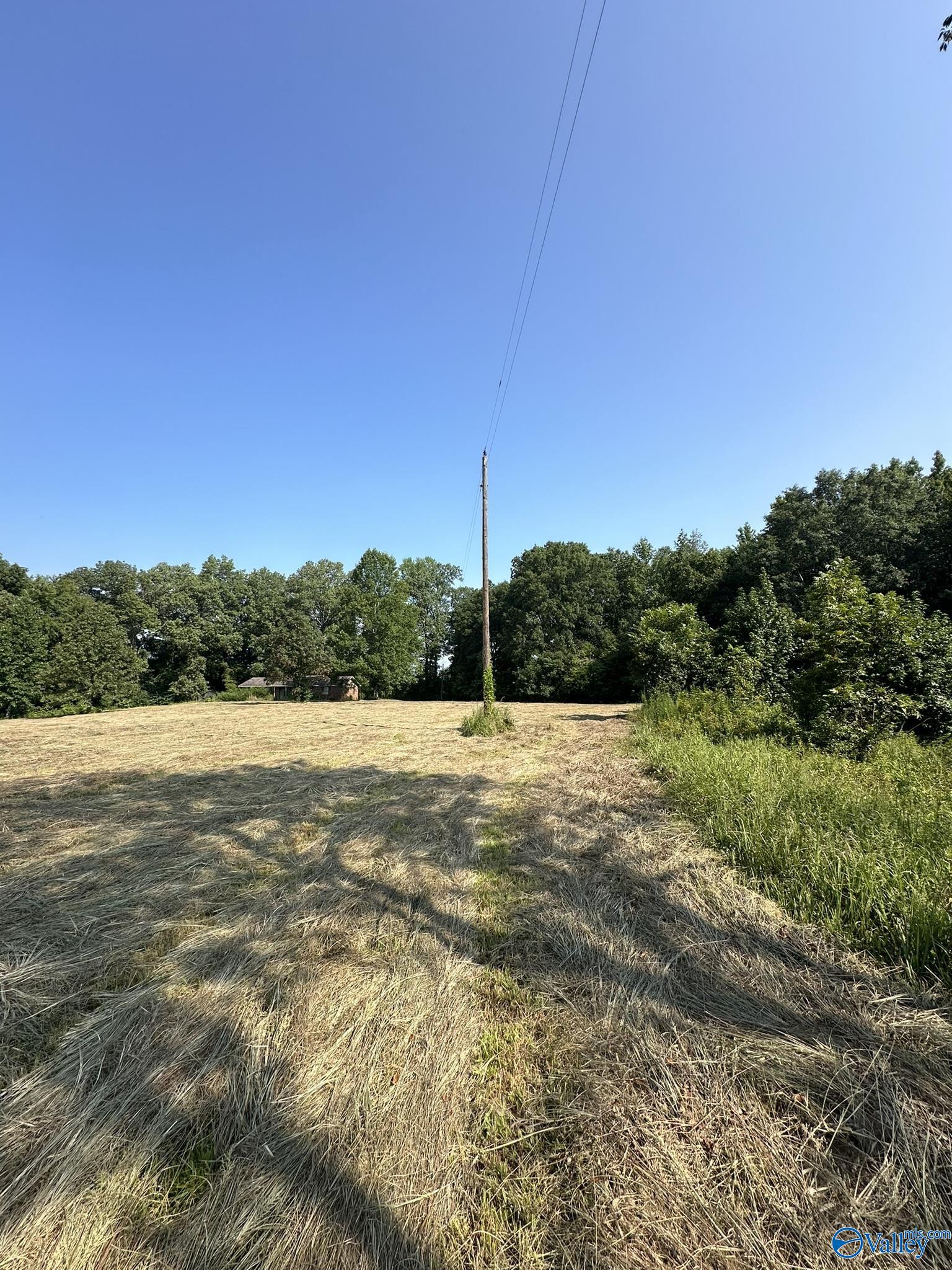 70 Acres County Road 170, Hillsboro, Alabama image 7