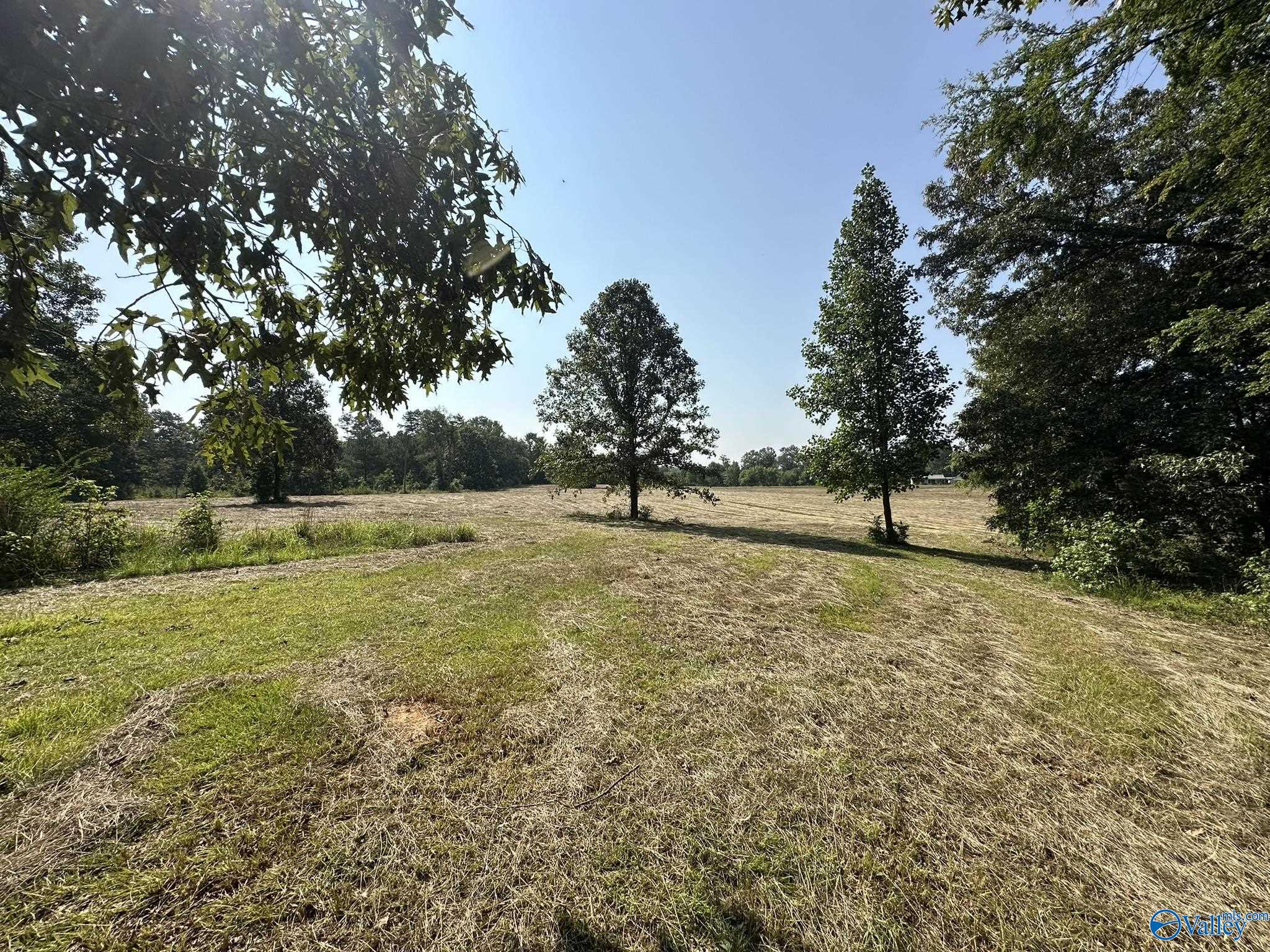 70 Acres County Road 170, Hillsboro, Alabama image 10