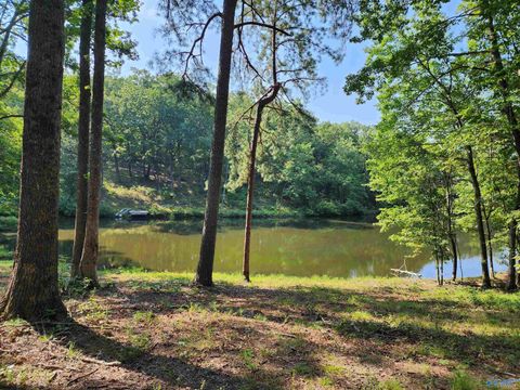Vacant Land For Sale - LOT 86 County Road 839<br/> Cherokee County, Mentone, AL 35984