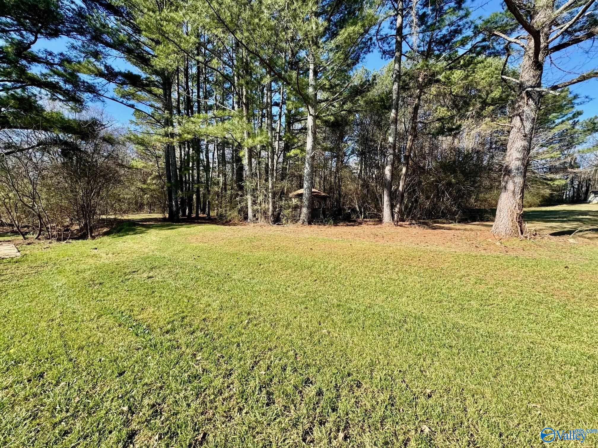 5734 Maysville Road, New Market, Alabama image 19