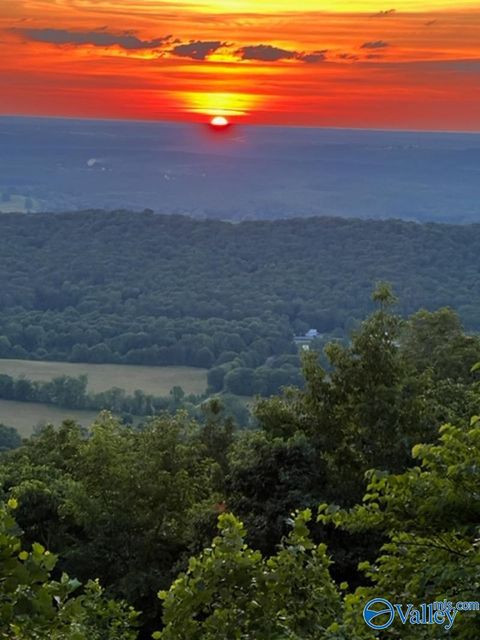 Vacant Land For Sale - LOT 22 County Road 89<br/> Mentone, AL 35984