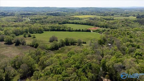 Vacant Land For Sale - 55 ACRES Day Street<br/> Moulton, AL 35650