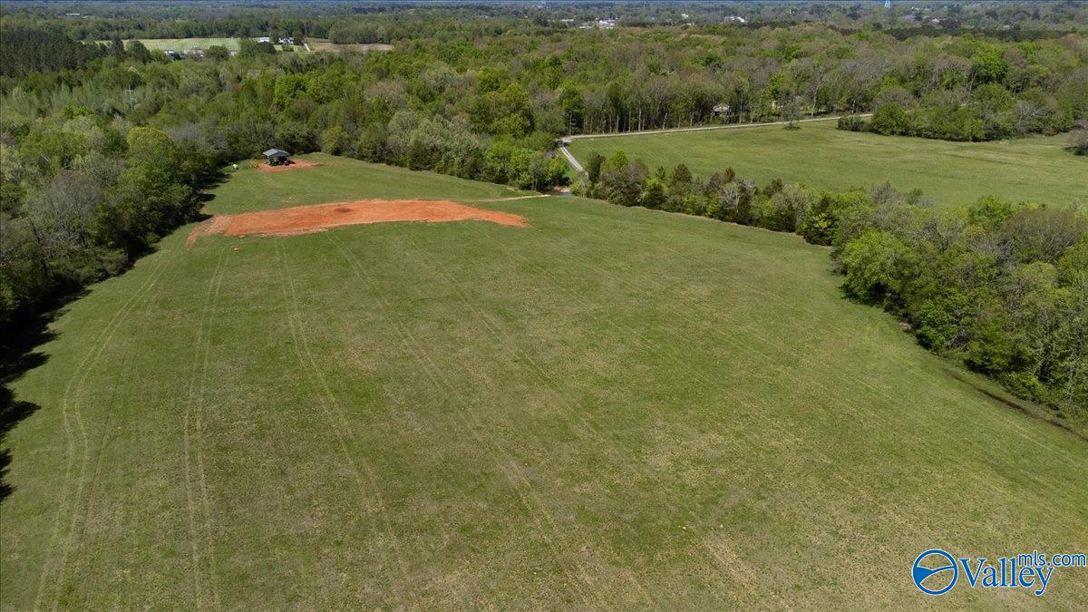 55 Acres Day Street, Moulton, Alabama image 22