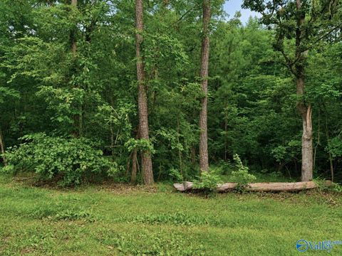 Vacant Land For Sale - LOT 34 County Road 608<br/> Cherokee County, Cedar Bluff, AL 35959