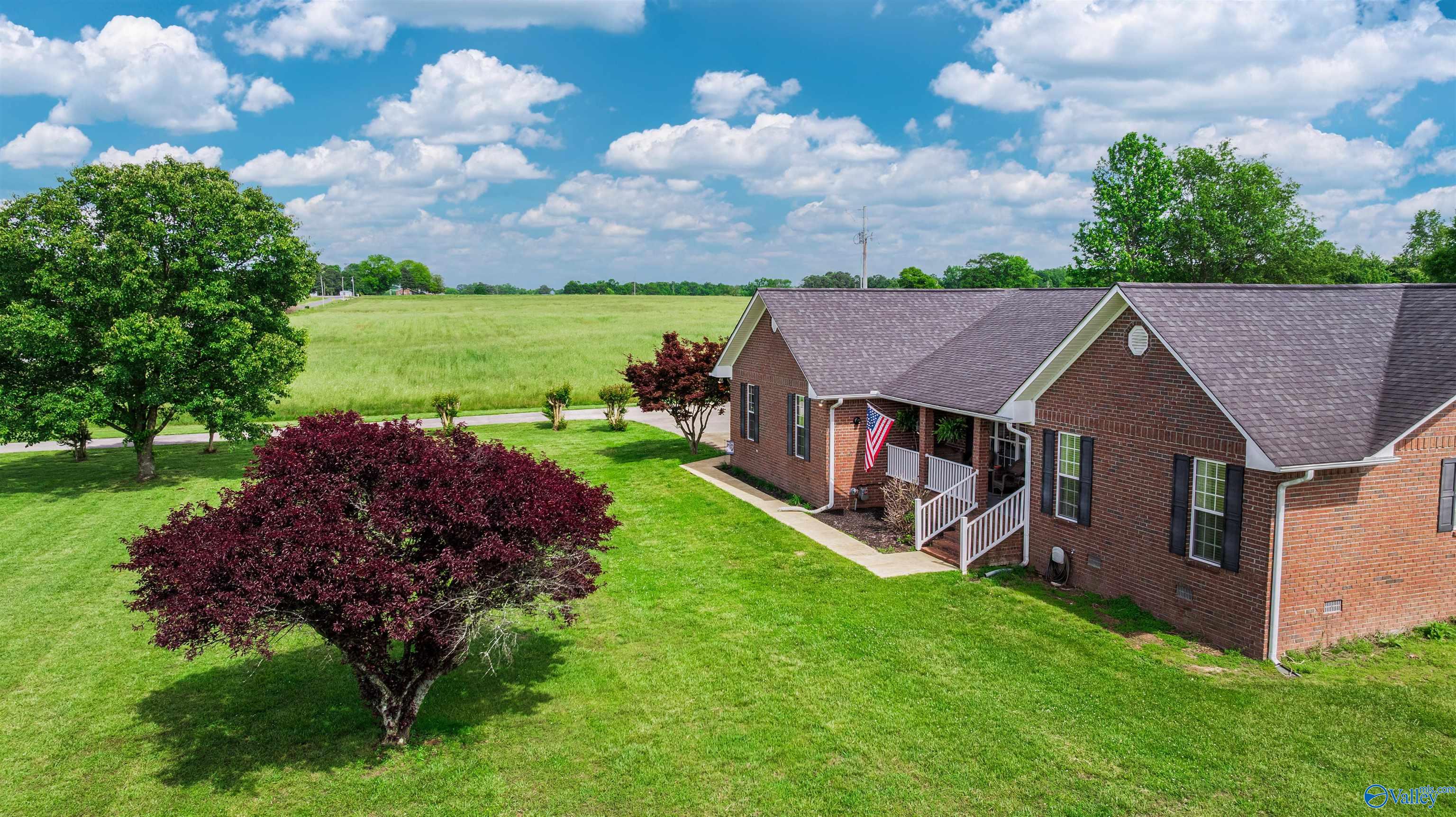 1109 County Road 424, Fyffe, Alabama image 6