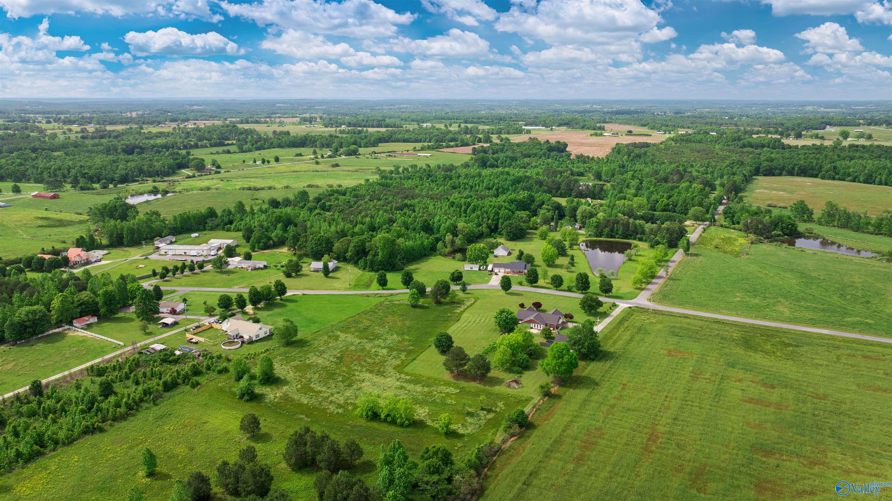 1109 County Road 424, Fyffe, Alabama image 46