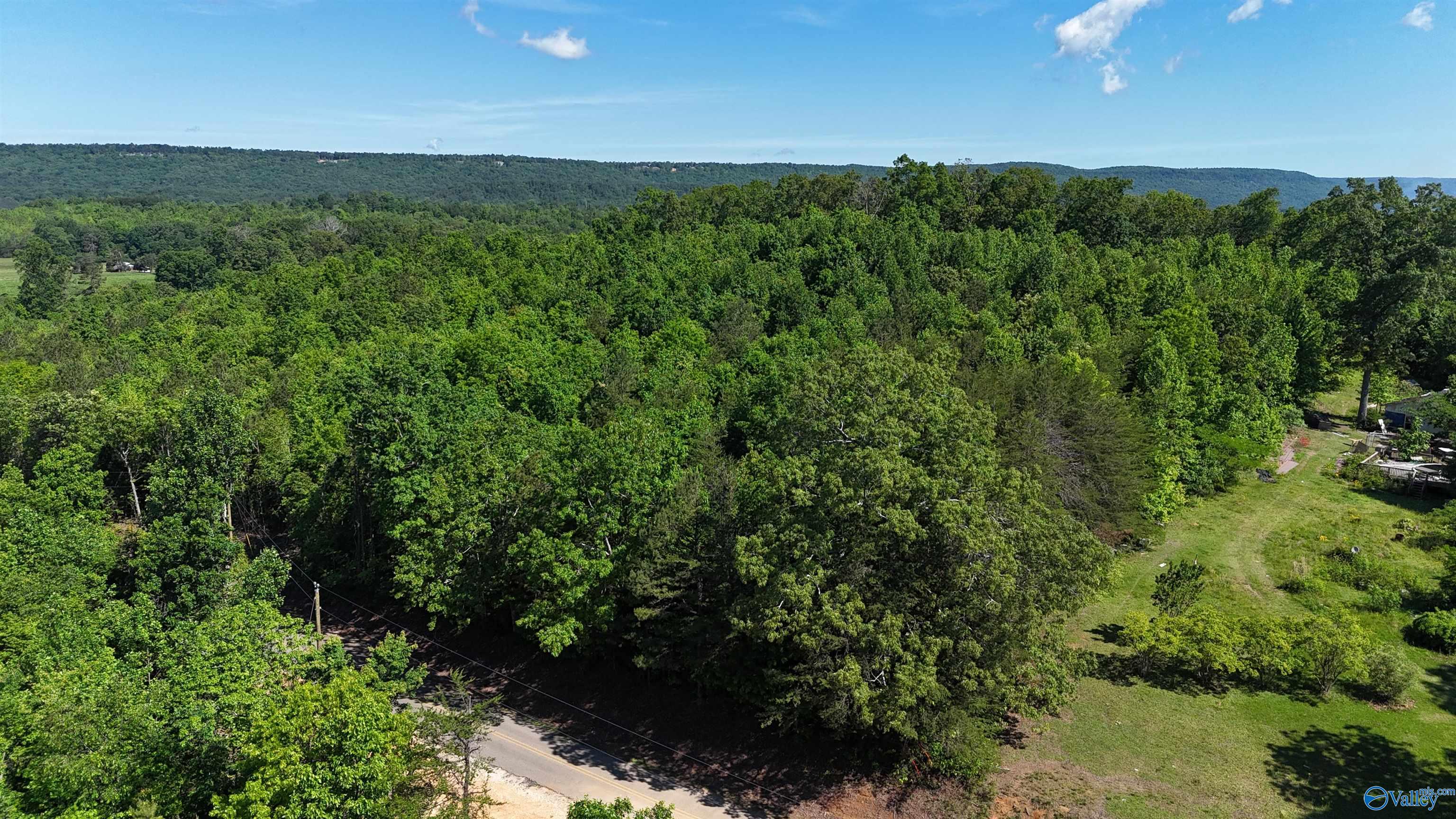 Lot 3 County Road 60, Gaylesville, Alabama image 1