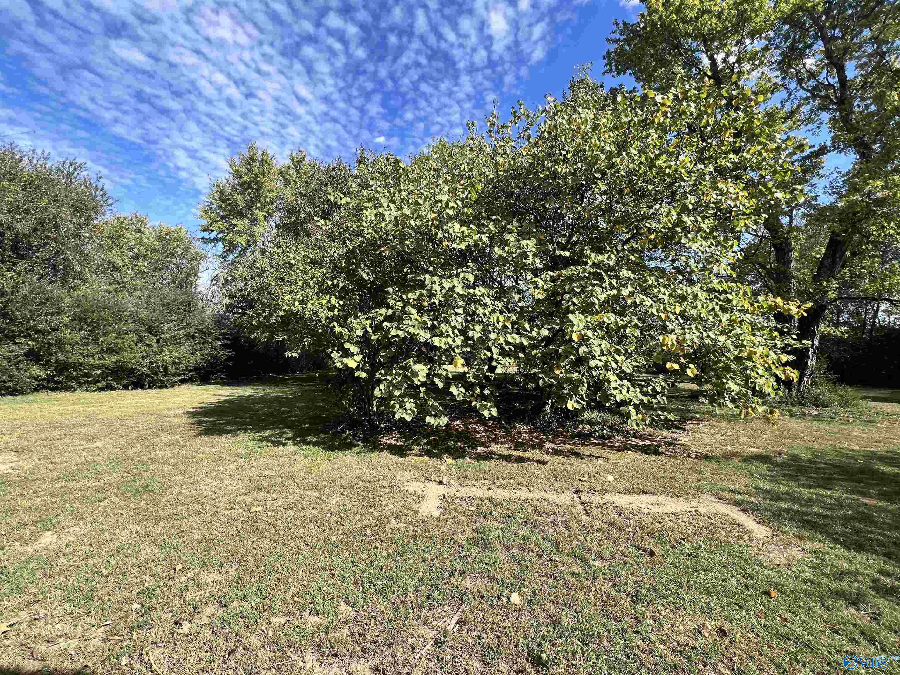 2061 Lindsay Lane S Ln, Athens, Alabama image 12