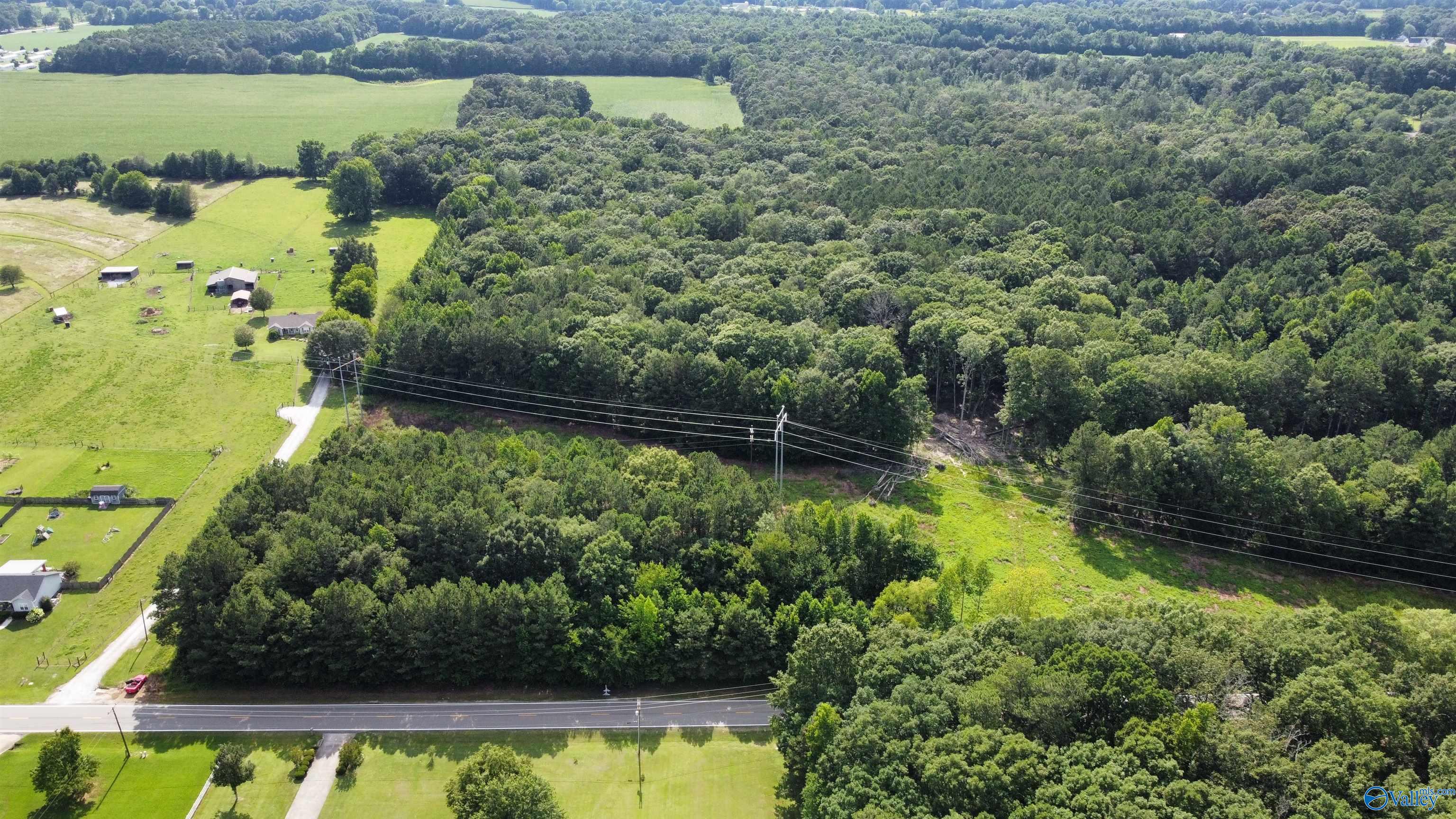 Land 9.03 Acres Mooresville Road, Elkmont, Alabama image 8