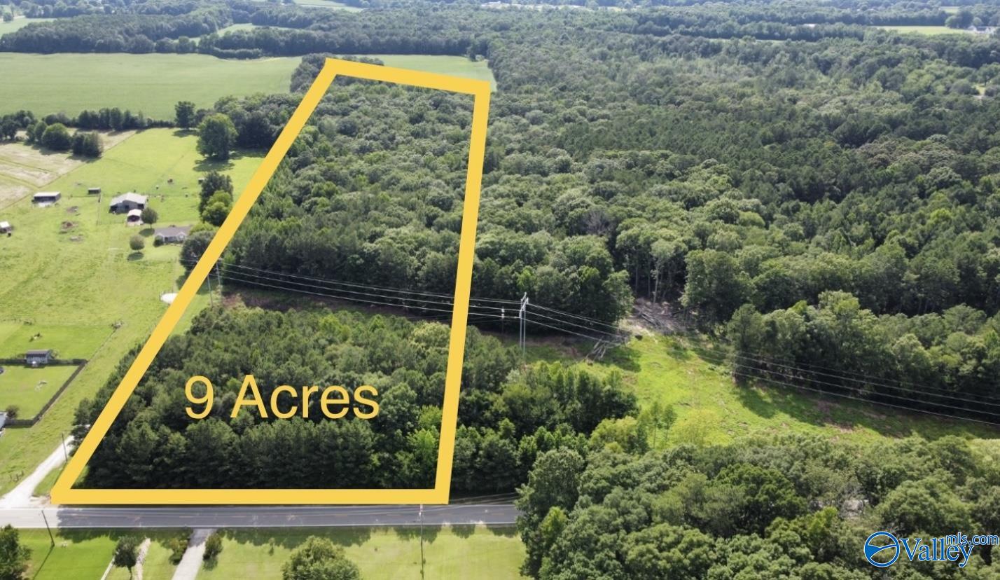 Land 9.03 Acres Mooresville Road, Elkmont, Alabama image 3