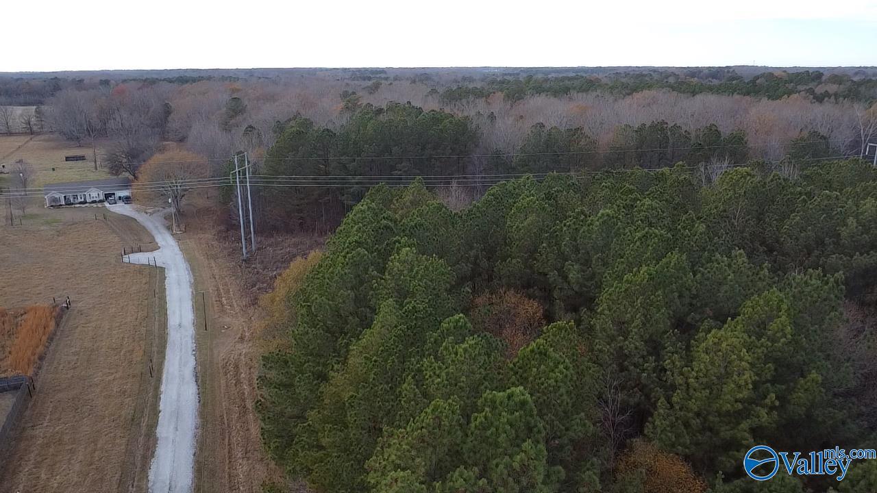 Land 9.03 Acres Mooresville Road, Elkmont, Alabama image 18