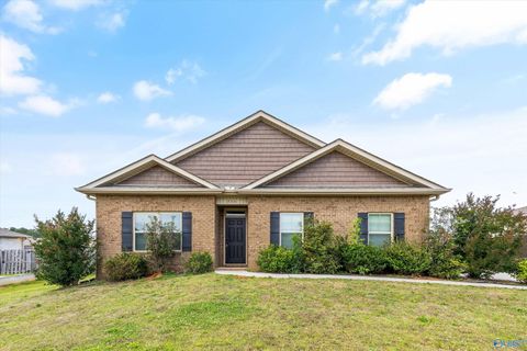 Homes For Sale - 276 Dinner Tree Square<br/> Huntsville, AL 35811