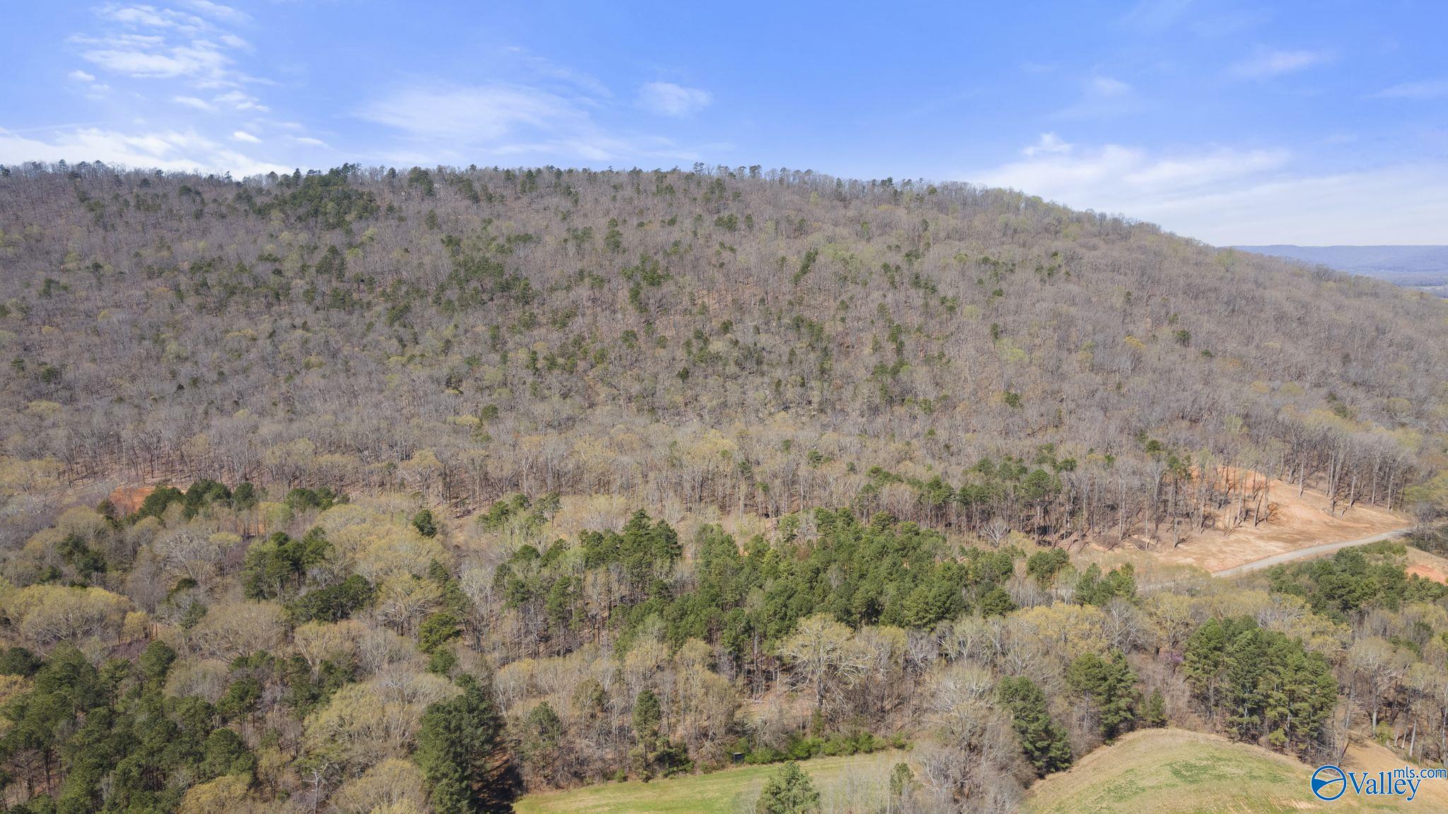 I 900 County Road 114, Scottsboro, Alabama image 12