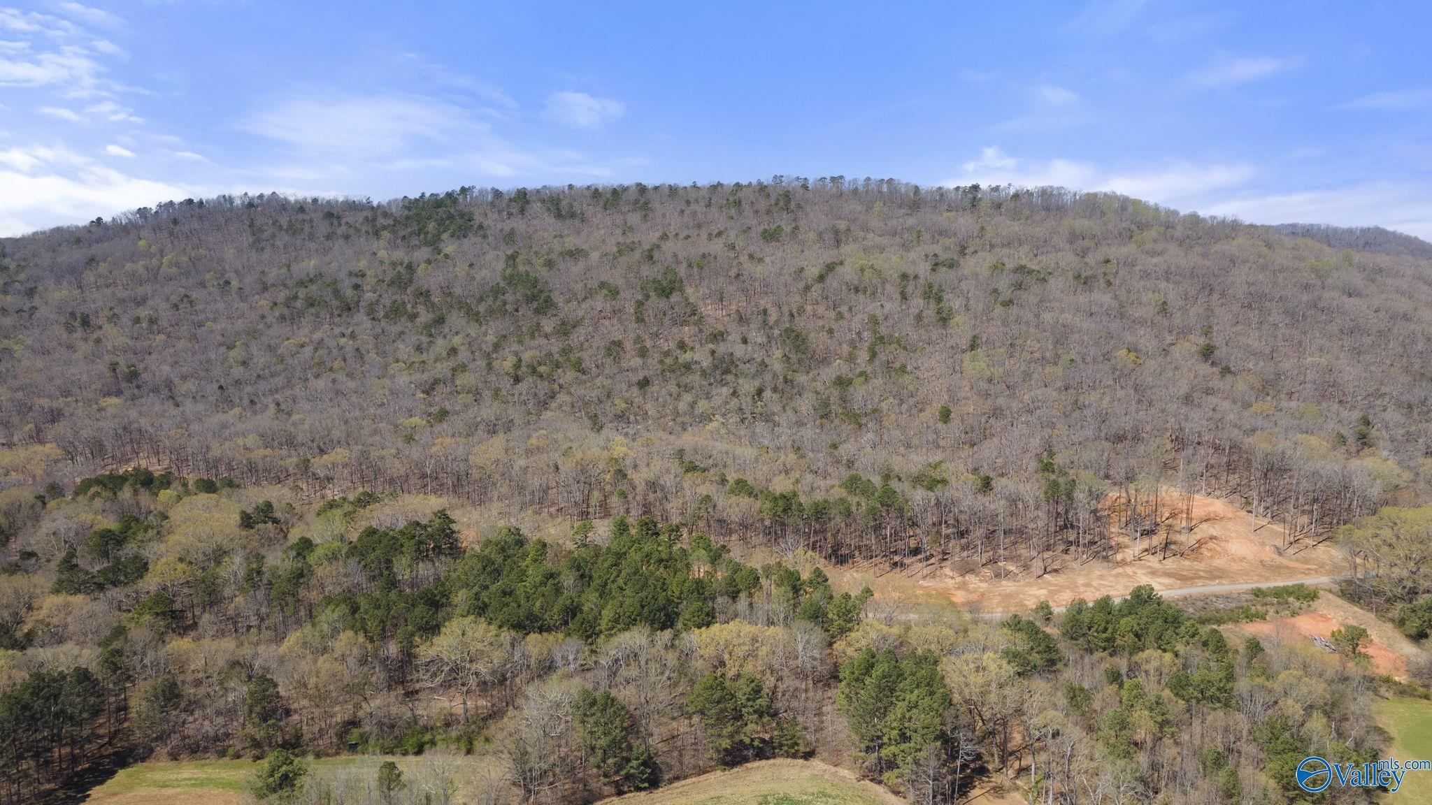 I 900 County Road 114, Scottsboro, Alabama image 11