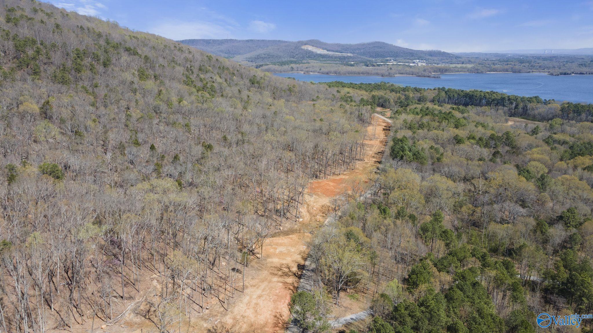 I 900 County Road 114, Scottsboro, Alabama image 8