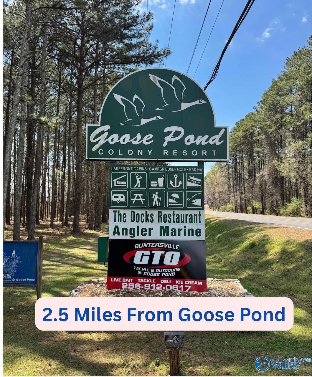 I 900 County Road 114, Scottsboro, Alabama image 5