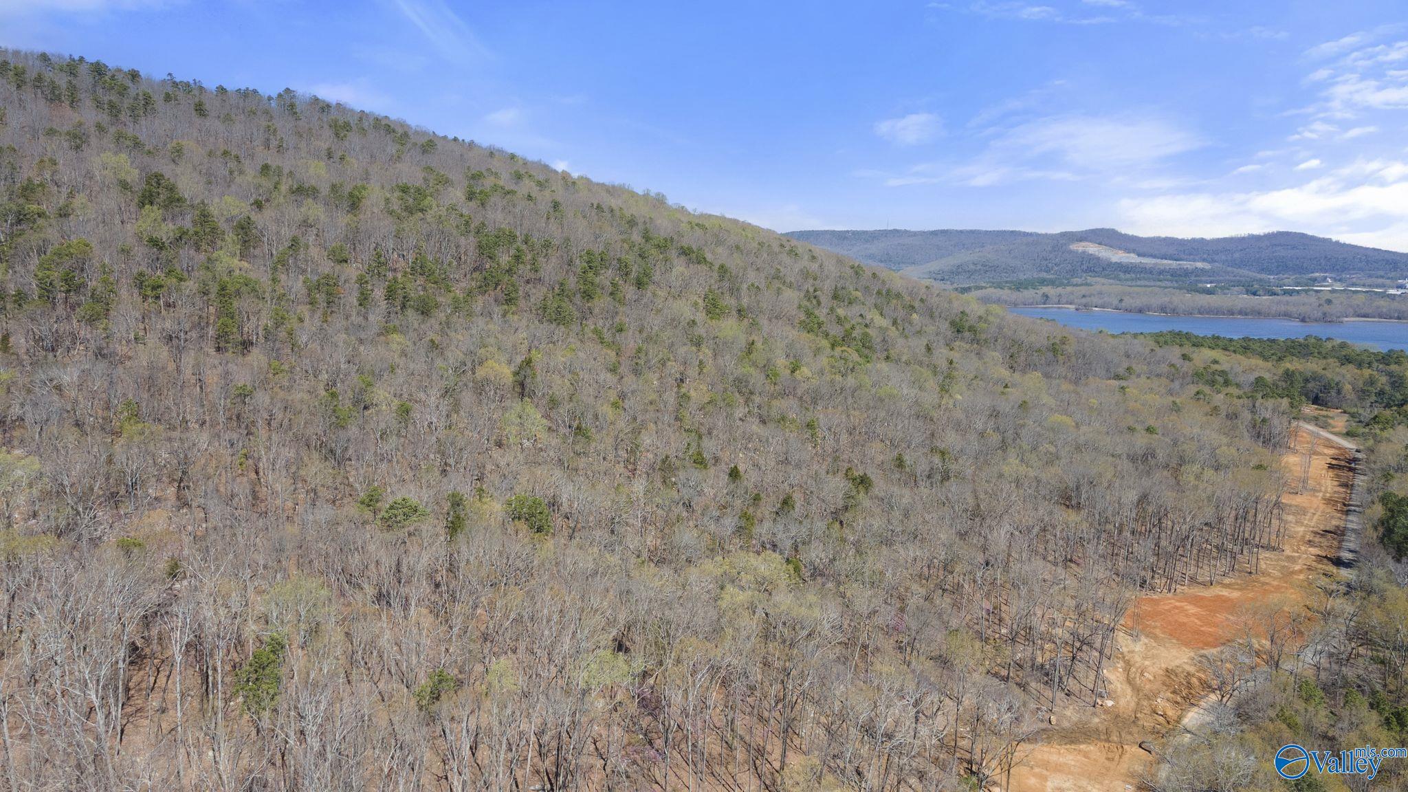 I 900 County Road 114, Scottsboro, Alabama image 7