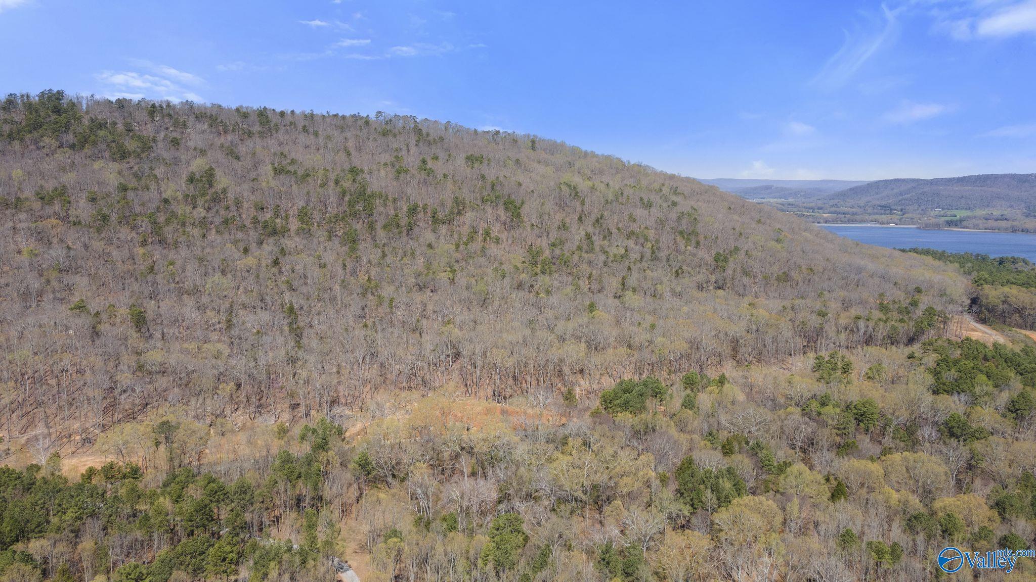 I 900 County Road 114, Scottsboro, Alabama image 15