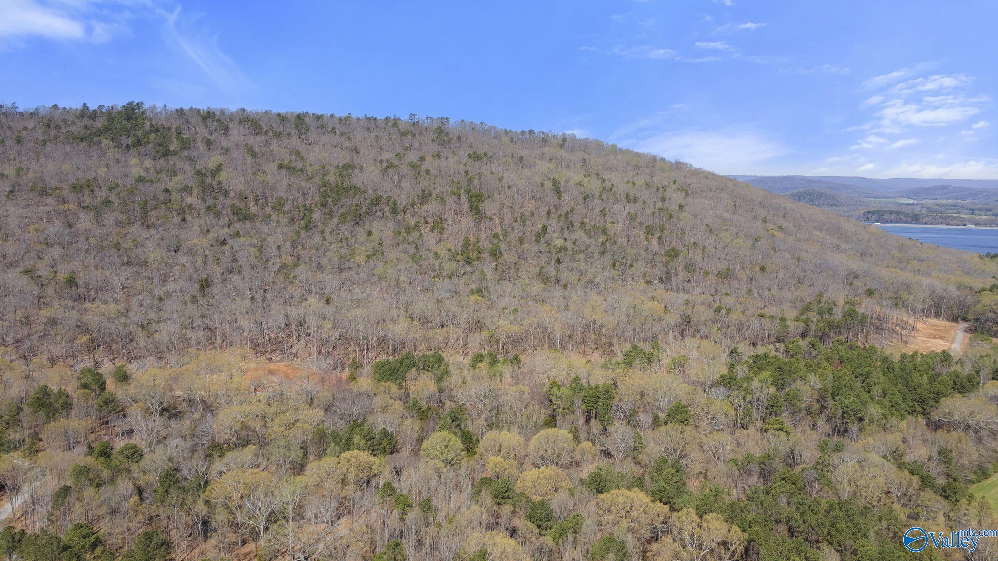 I 900 County Road 114, Scottsboro, Alabama image 14