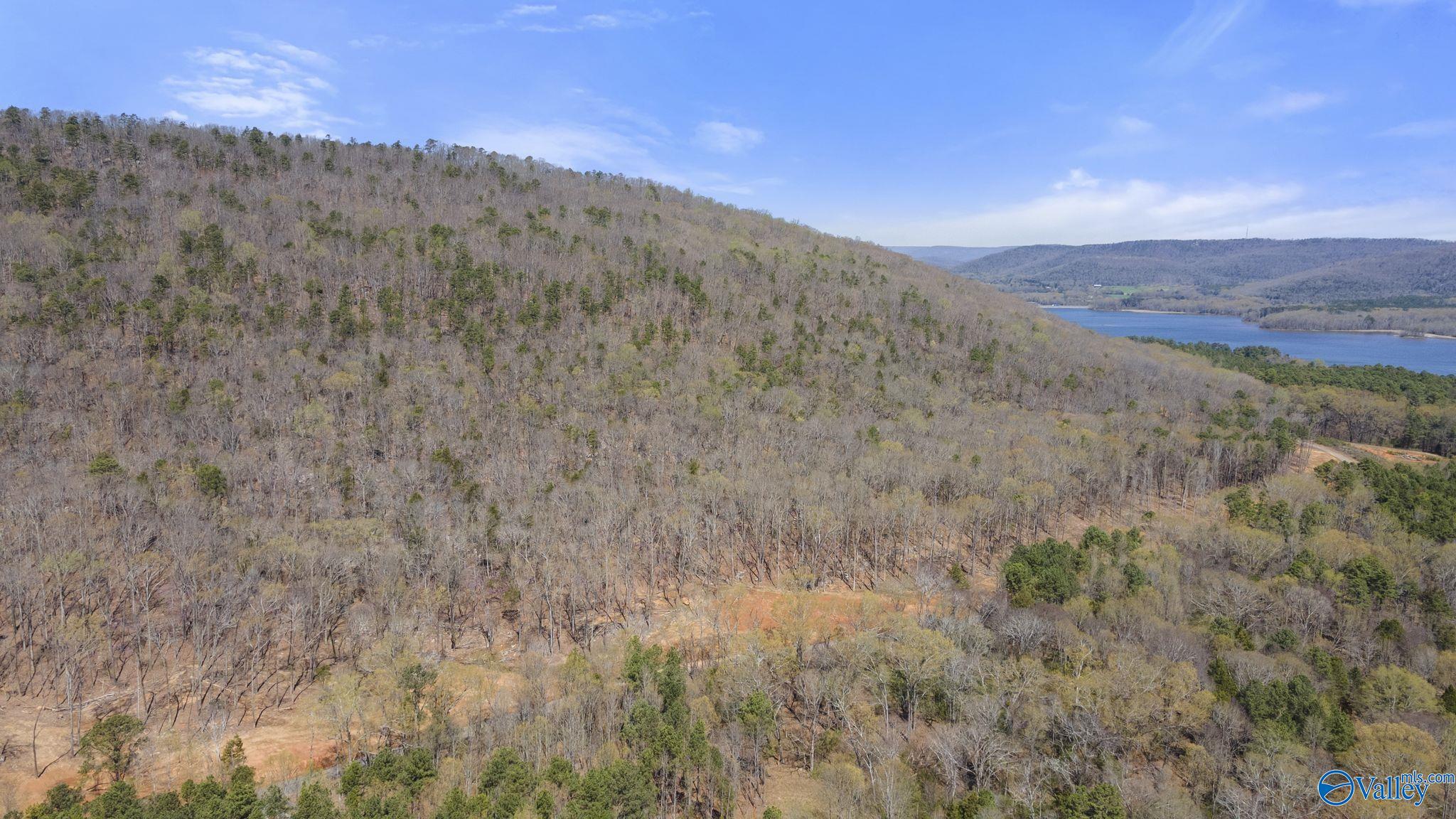 I 900 County Road 114, Scottsboro, Alabama image 16