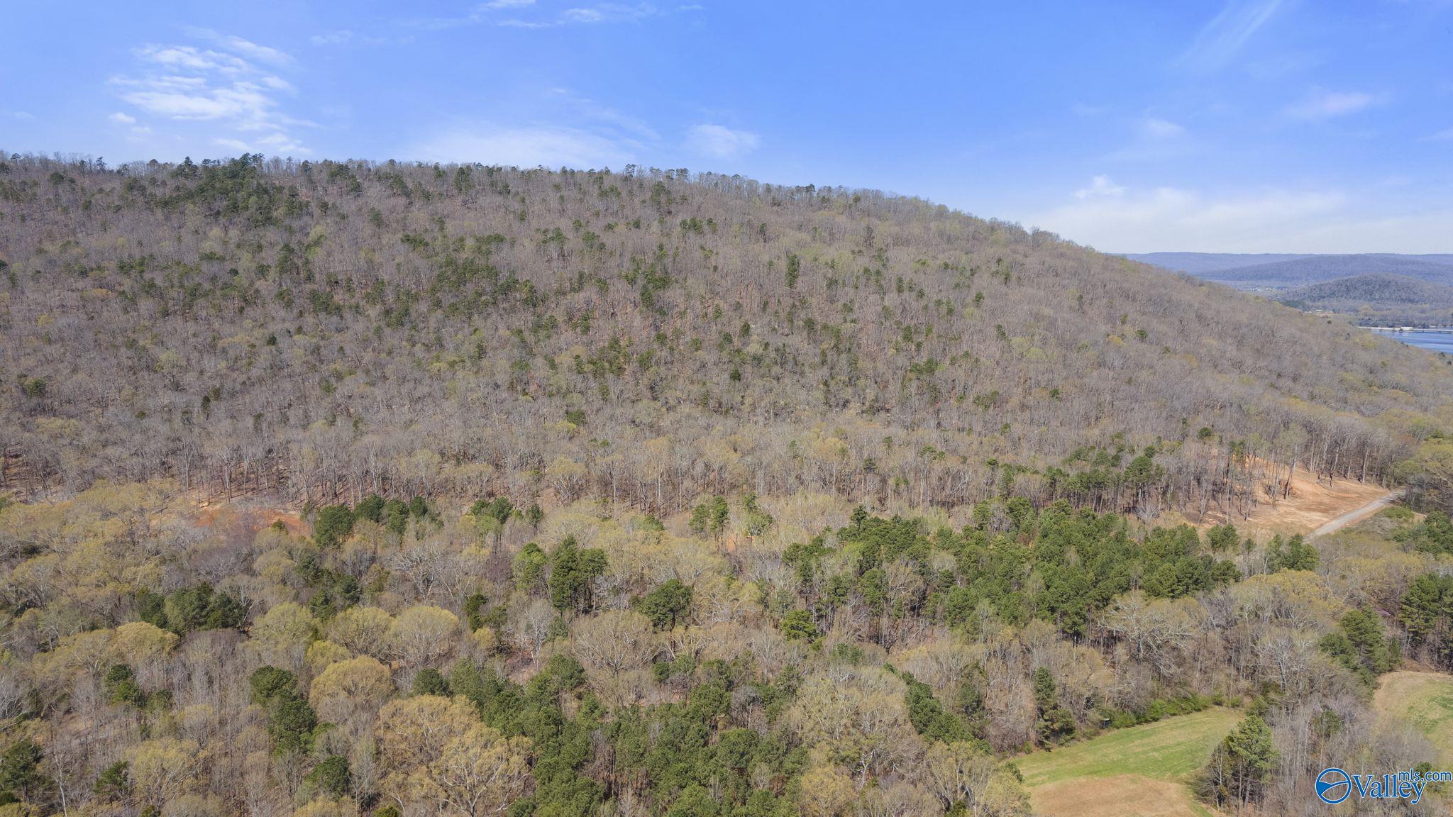 I 900 County Road 114, Scottsboro, Alabama image 13