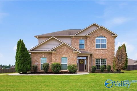 Photo of 16285 Durfet Drive NW, Harvest, AL 35749 (MLS # 21917126)