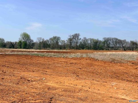 Vacant Land For Sale - 23671 Old Homeplace Way<br/> Limestone County, Athens, AL 35613