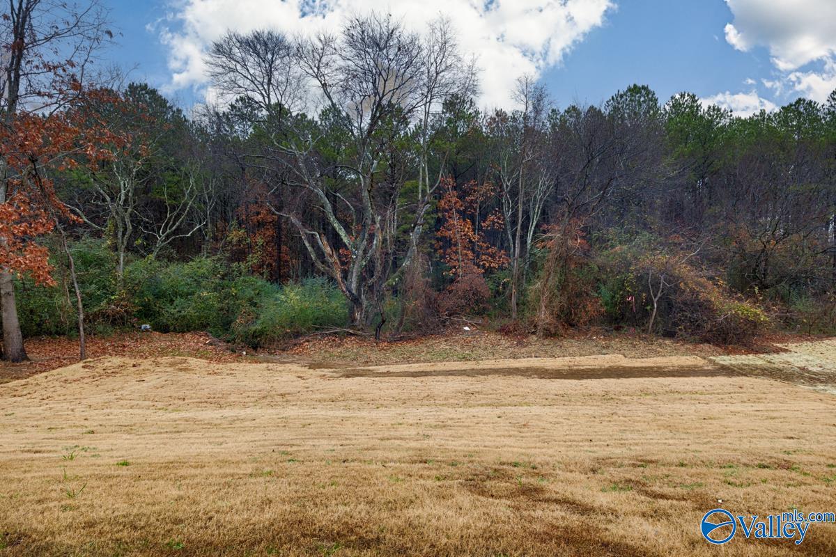 14907 Willow Rose Lane, Athens, Alabama image 9