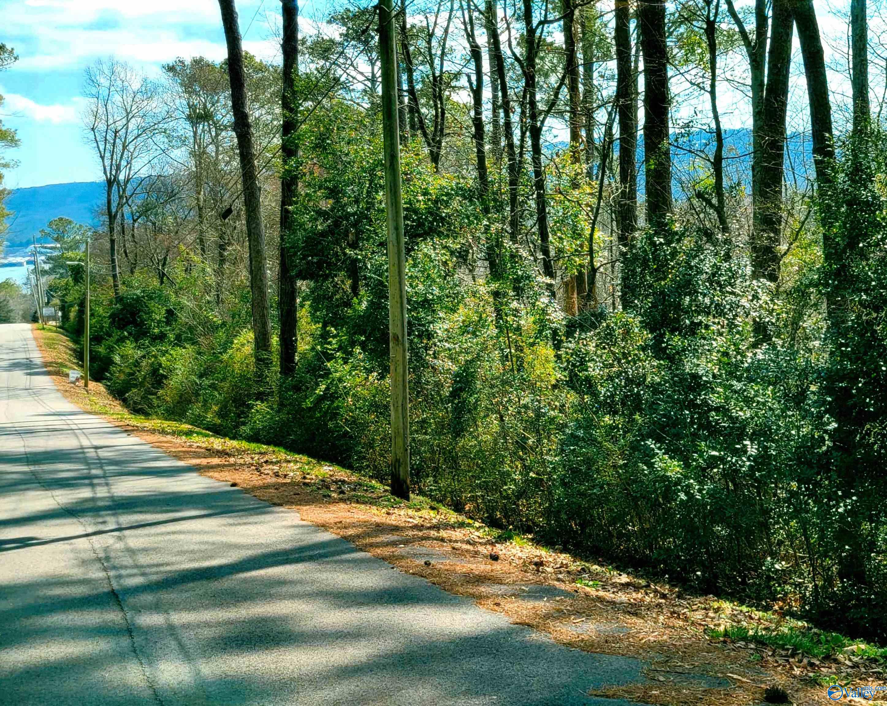 Photo 1 of 4 — 11 Richardson Street, Guntersville, AL 35976
