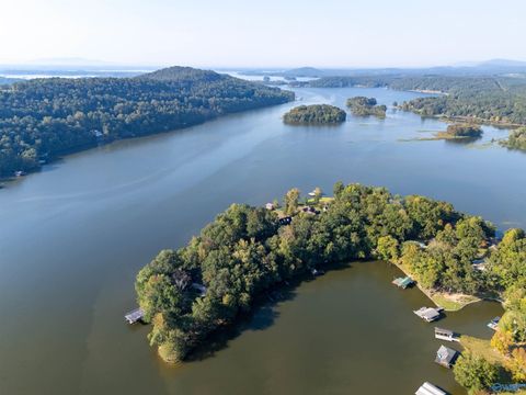 Vacant Land For Sale - 10 County Road 479<br/> Cherokee County, Cedar Bluff, AL 35959