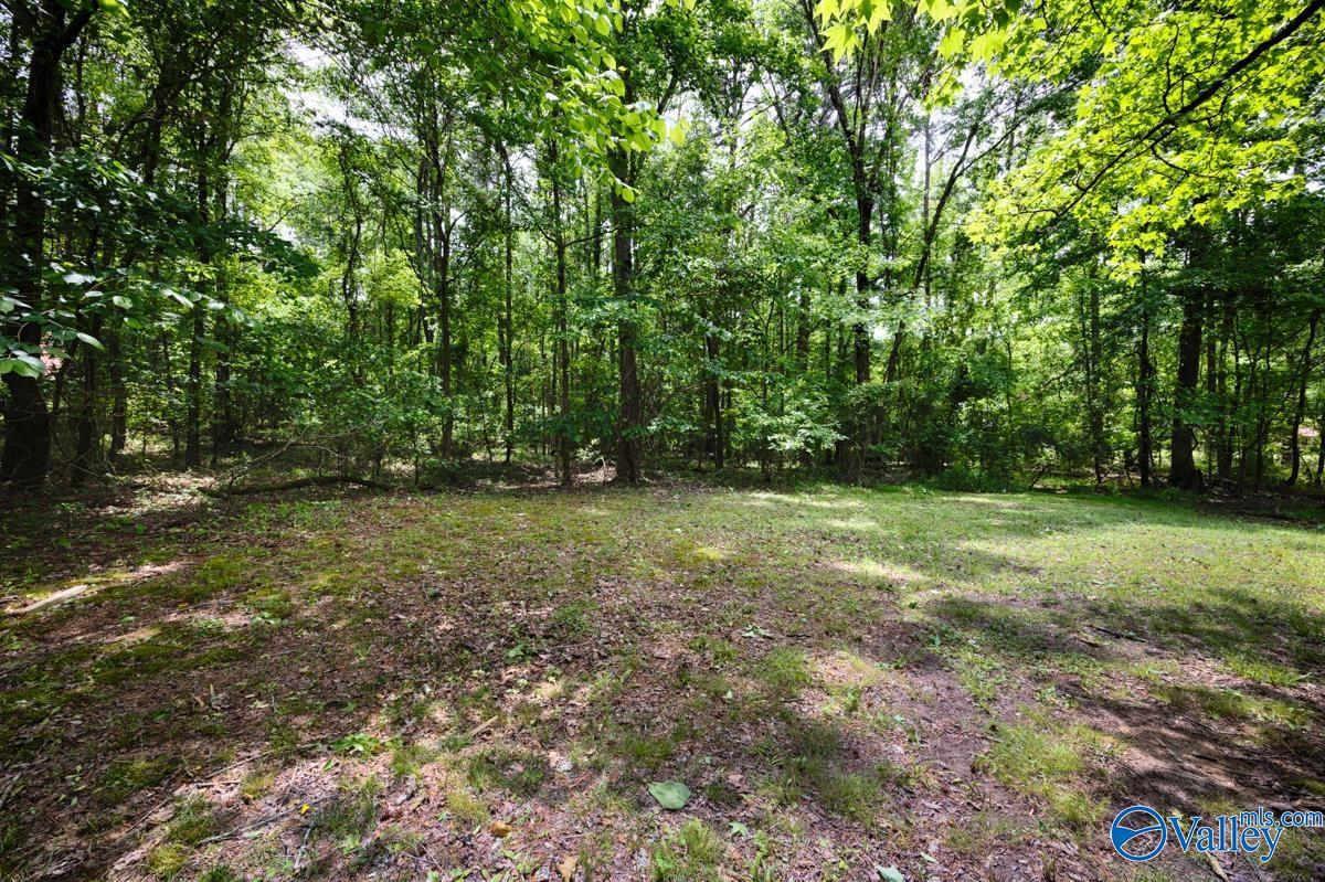 145 Dogwood Drive, Laceys Spring, Alabama image 21