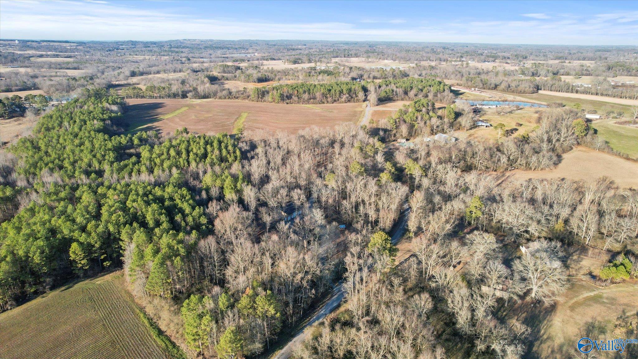 325 Holland Road, Horton, Alabama image 41
