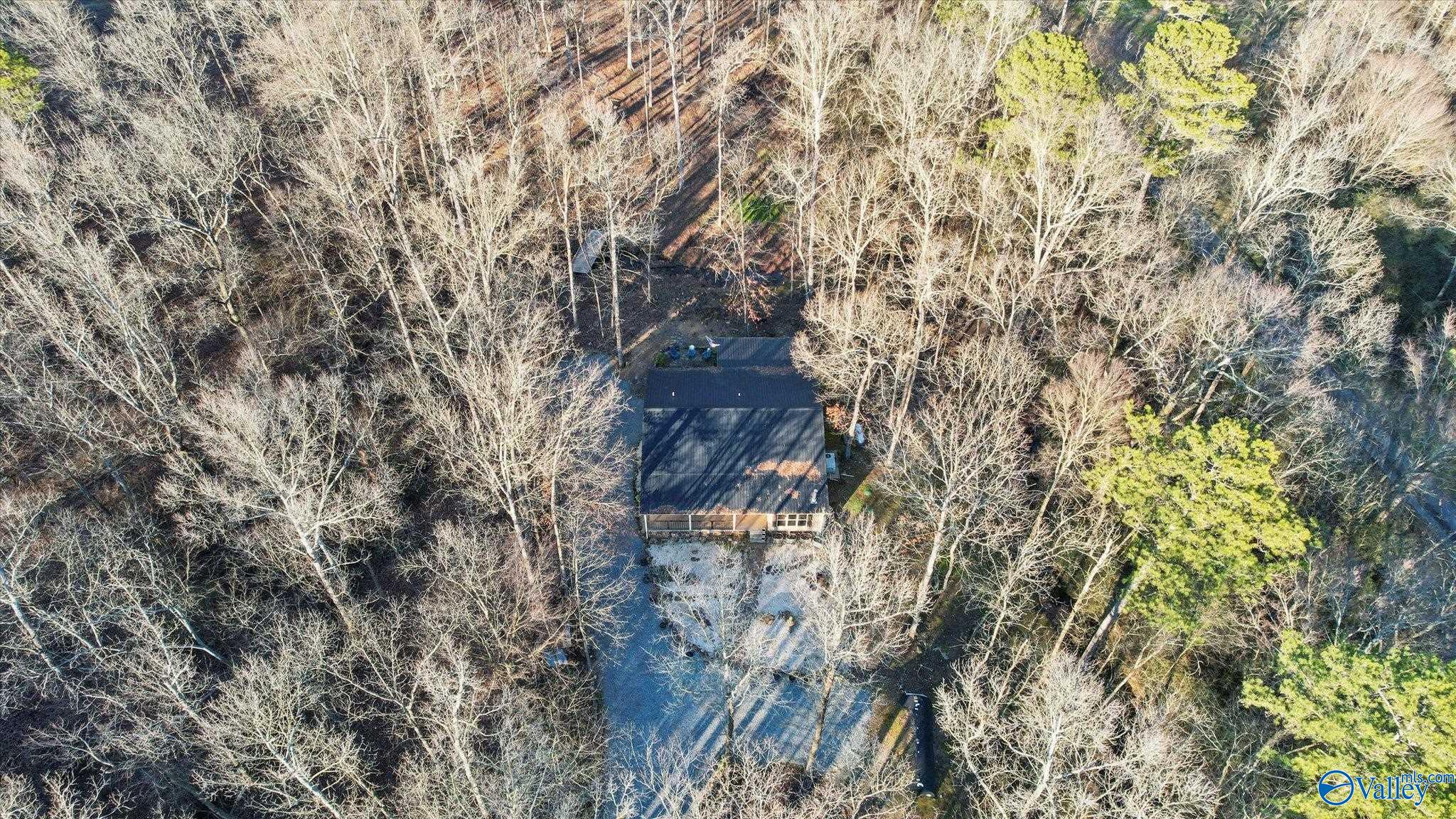 325 Holland Road, Horton, Alabama image 43