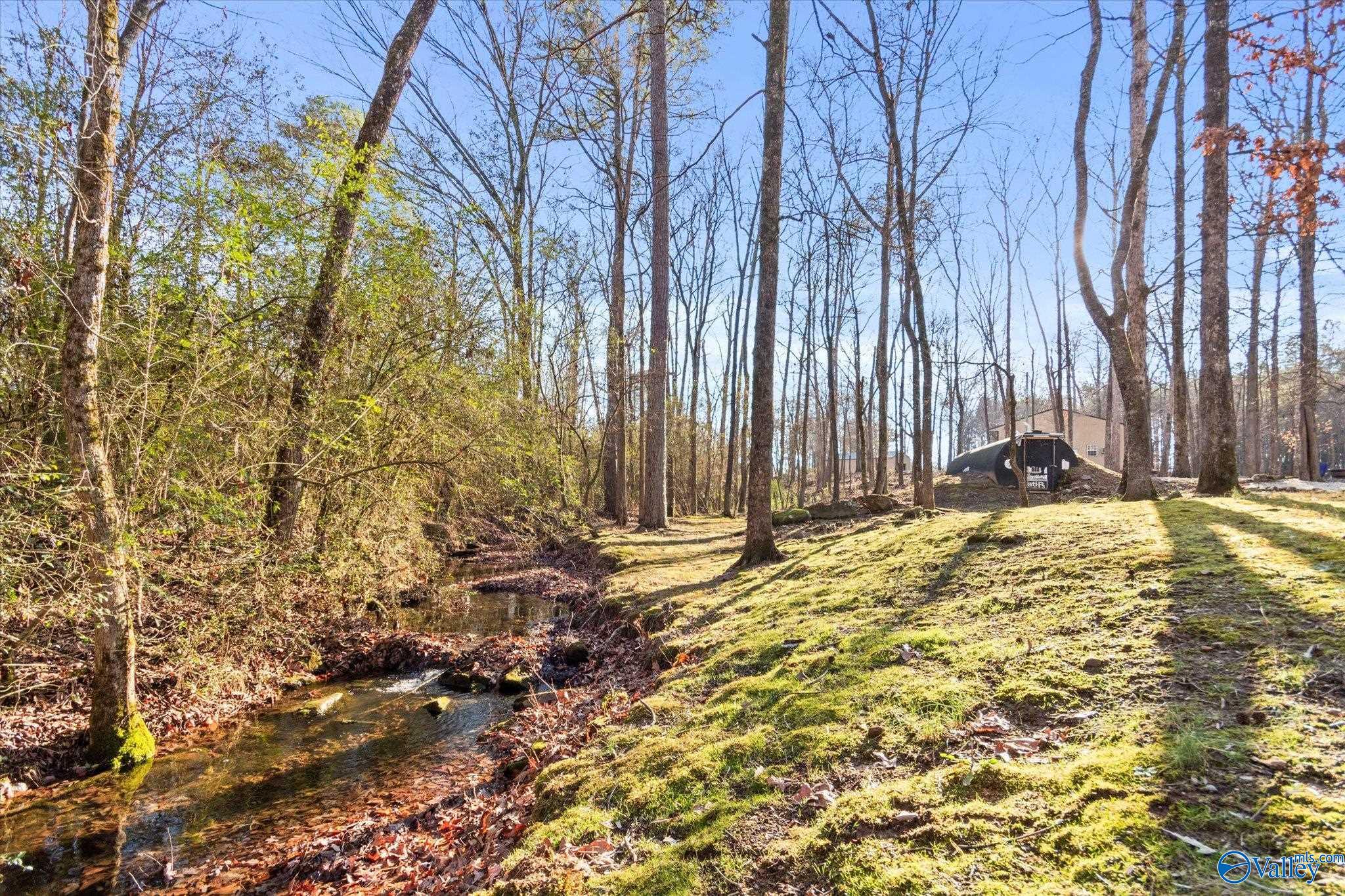 325 Holland Road, Horton, Alabama image 28