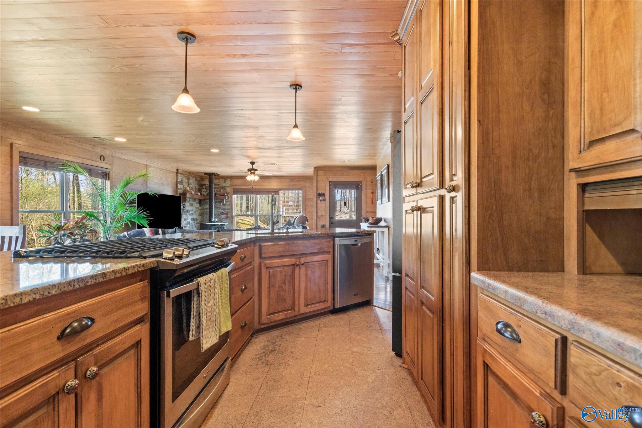 325 Holland Road, Horton, Alabama image 10