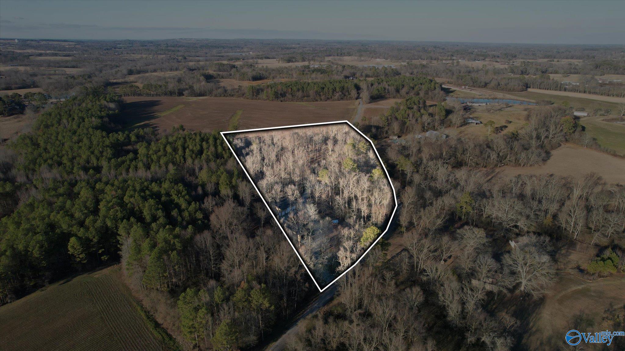 325 Holland Road, Horton, Alabama image 40