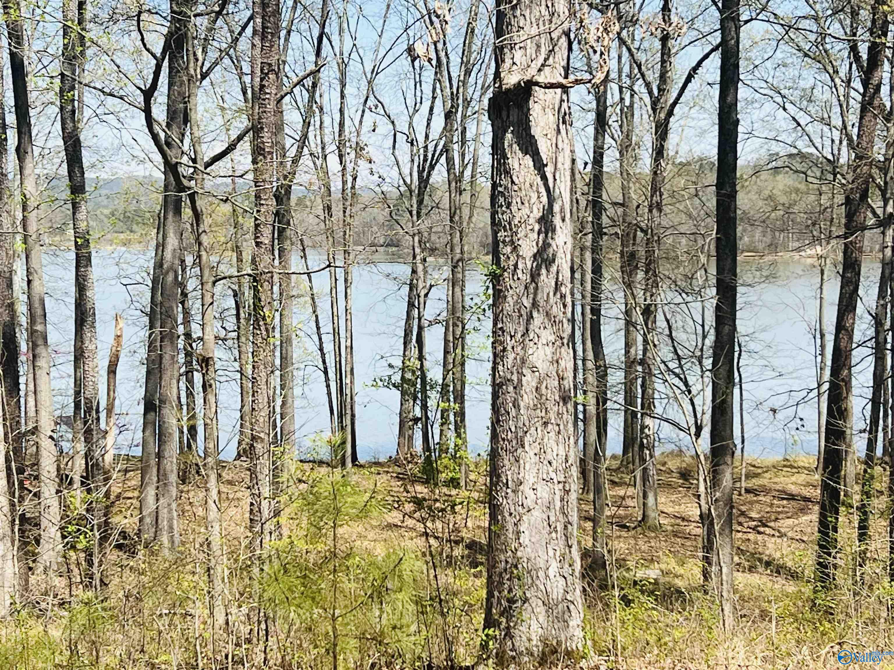 115 County Road 714, Cedar Bluff, Alabama image 6