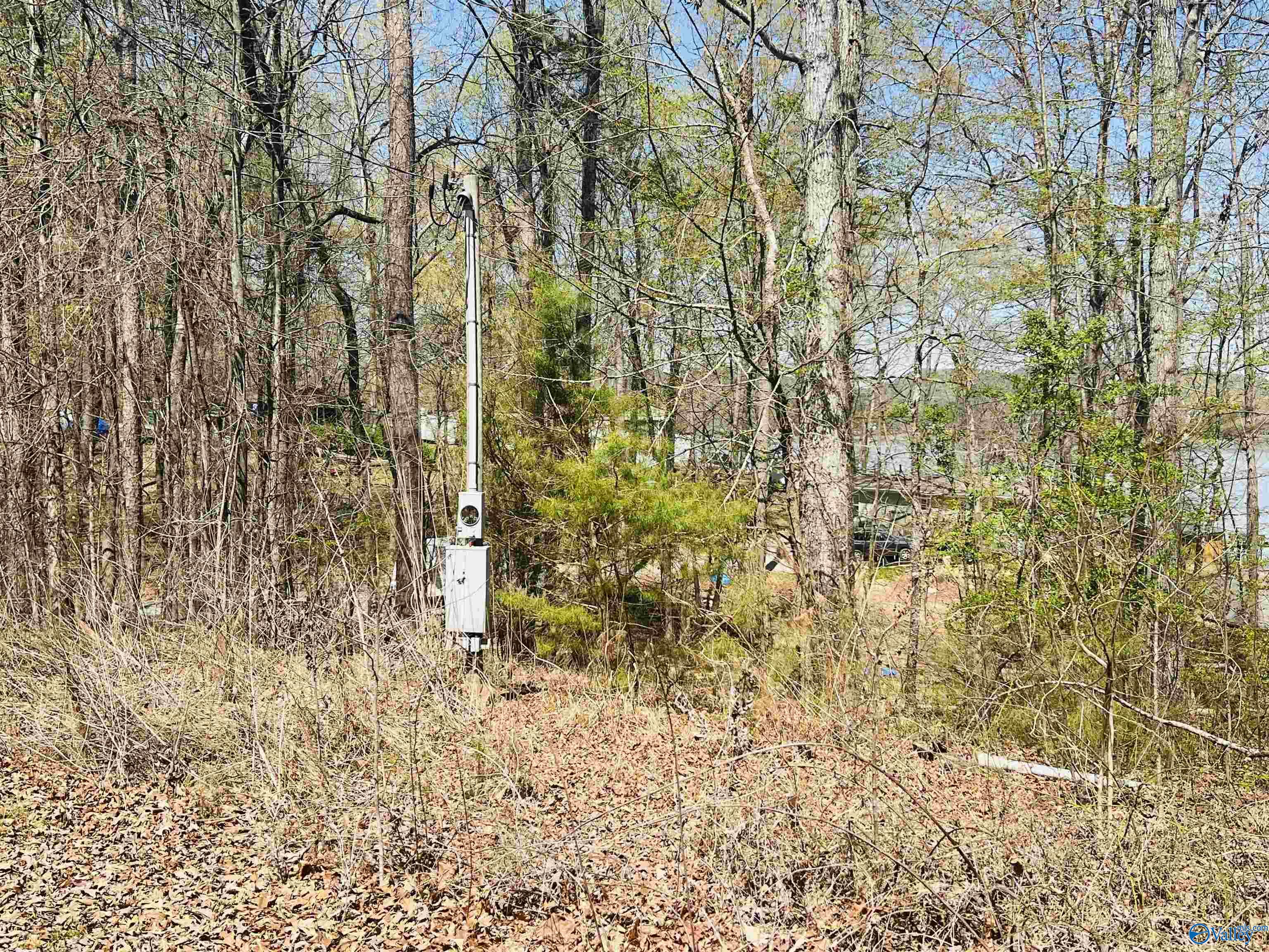 115 County Road 714, Cedar Bluff, Alabama image 5
