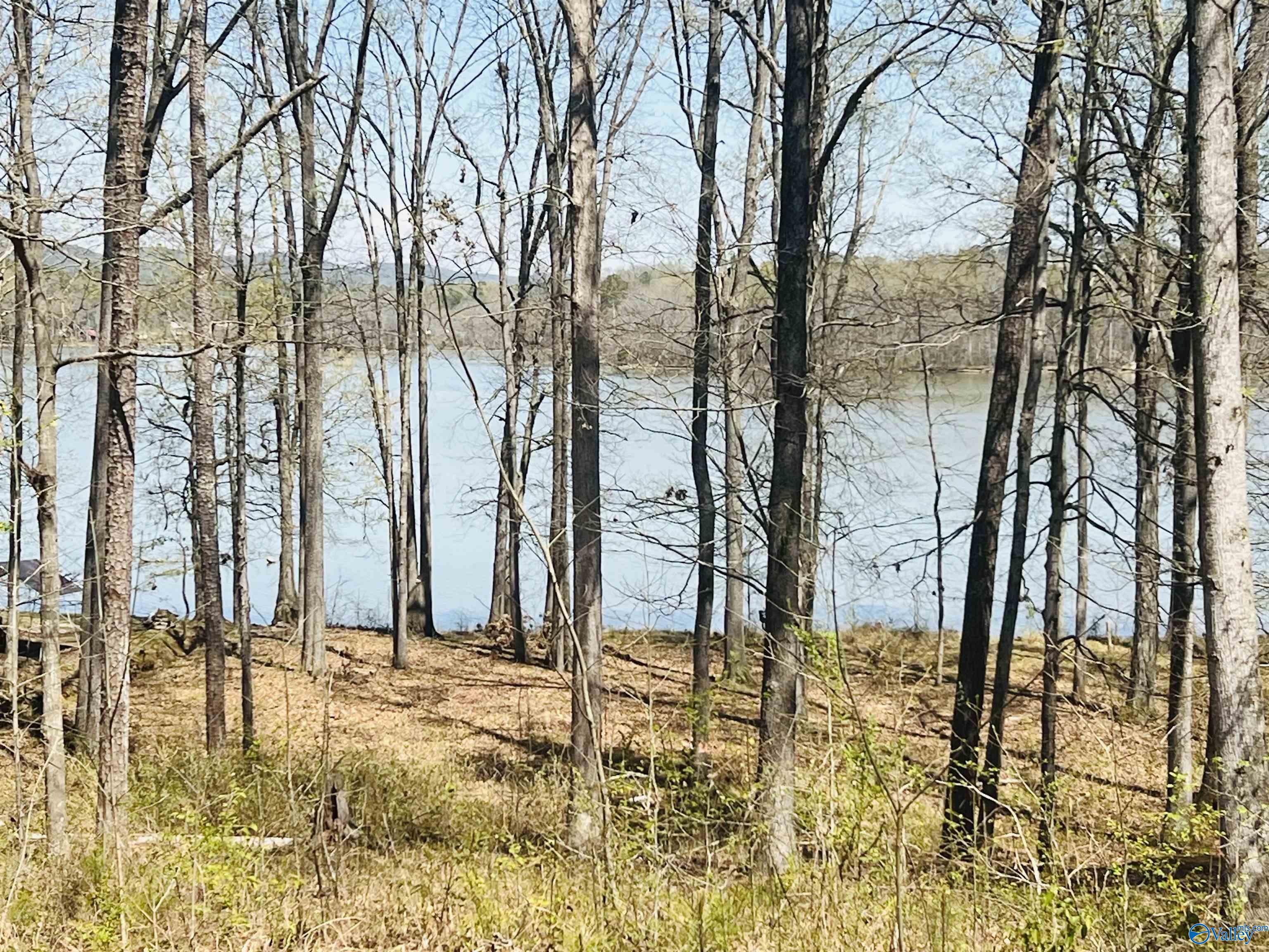 115 County Road 714, Cedar Bluff, Alabama image 8