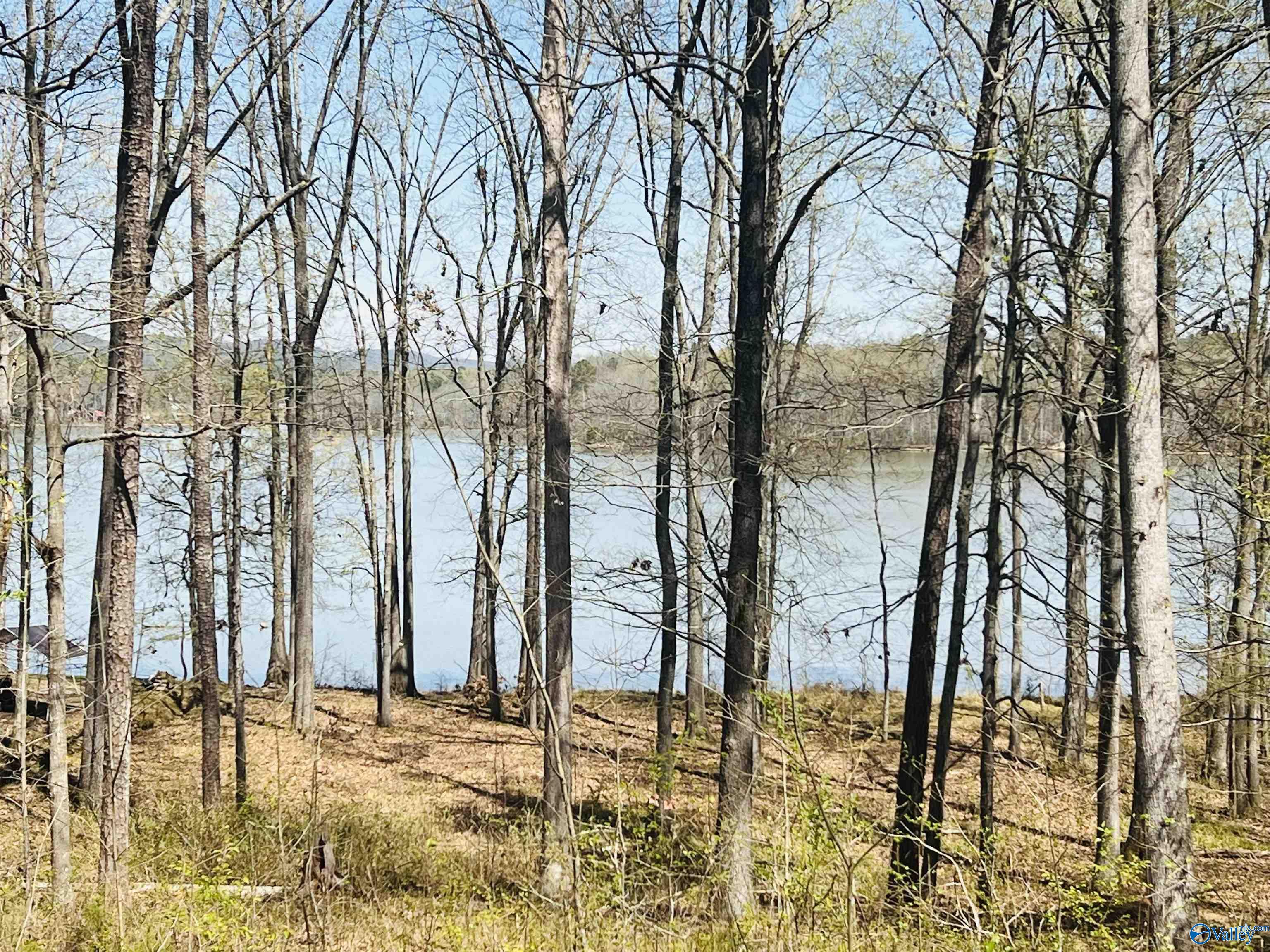 115 County Road 714, Cedar Bluff, Alabama image 7