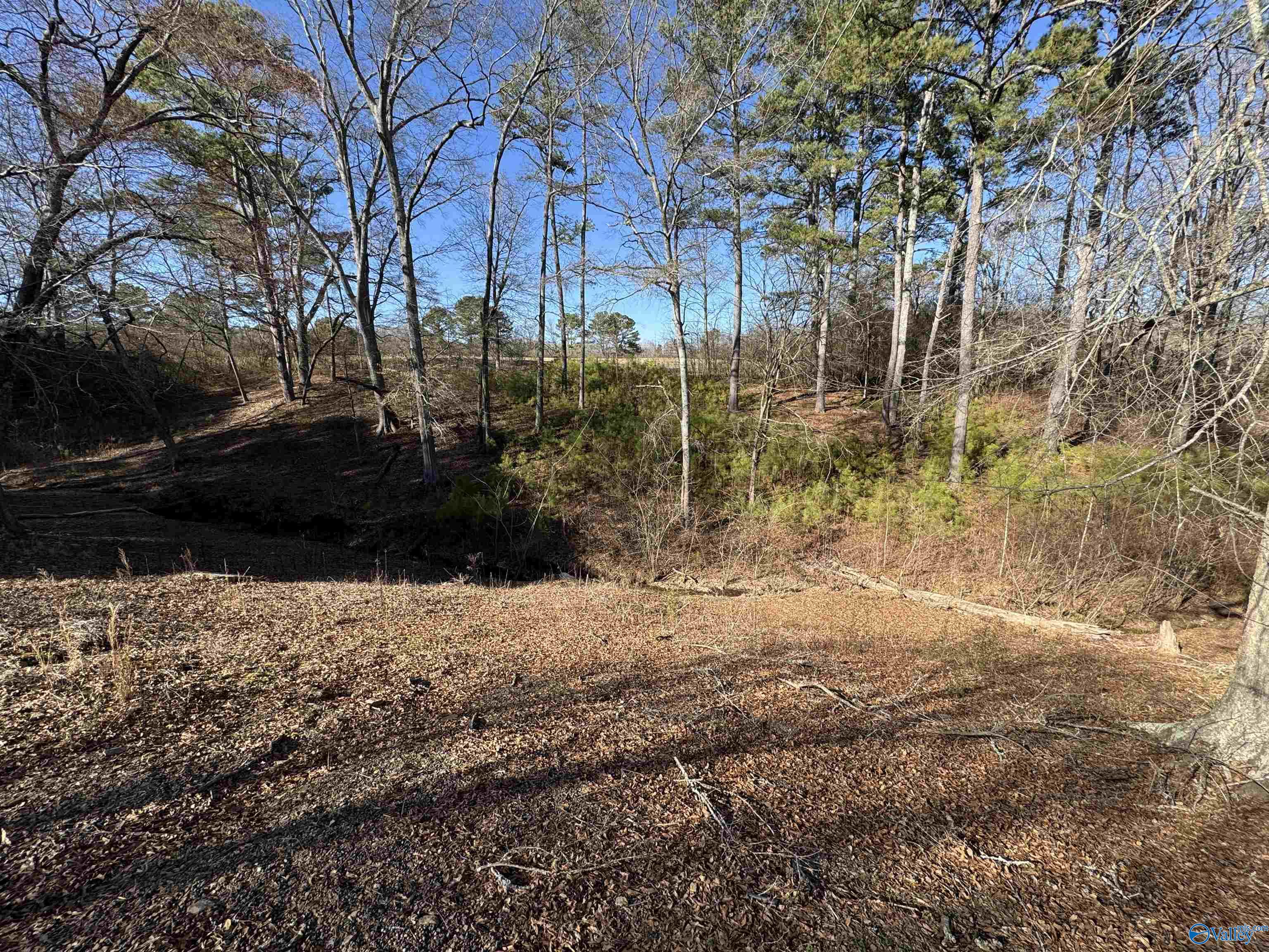 358 Simpson Street, Boaz, Alabama image 32